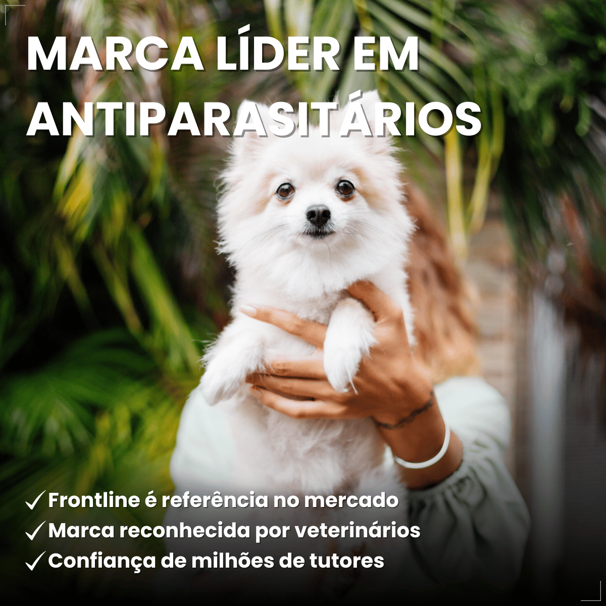 Frontline Antipulgas e Carrapatos Plus Cães 2 a 10 kg