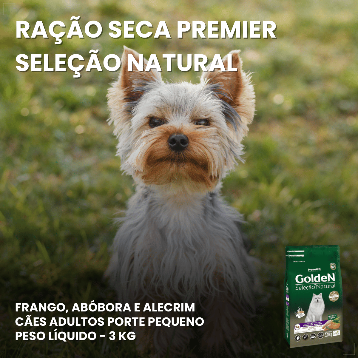 Ração Golden Seleção Natural Cães Adultos Porte Pequeno 3kg