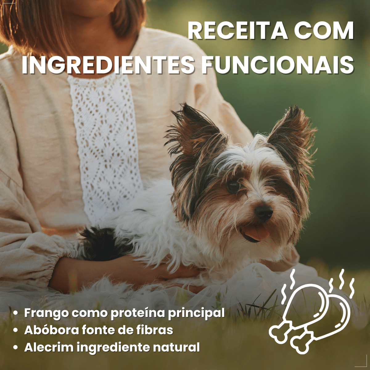 Ração Golden Seleção Natural Cães Adultos Porte Pequeno 3kg