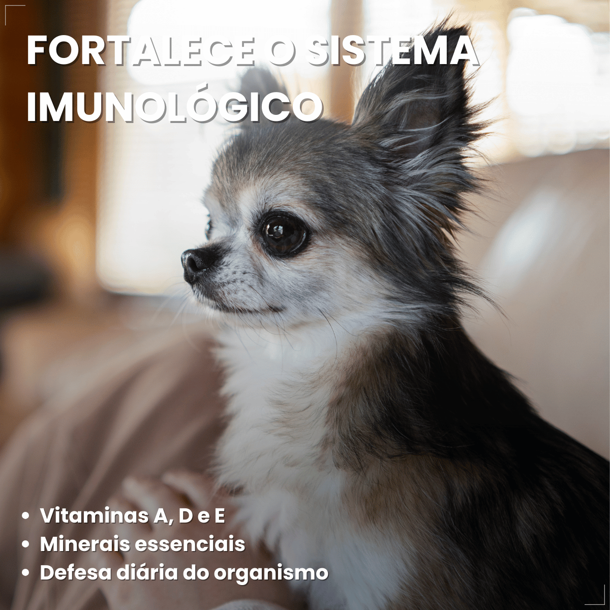 Ração Golden Seleção Natural Cães Adultos Porte Pequeno 3kg