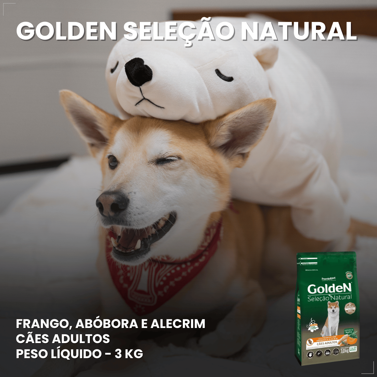 Ração Golden Seleção Natural Cães Adultos Frango com Abóbora e Alecrim 3kg