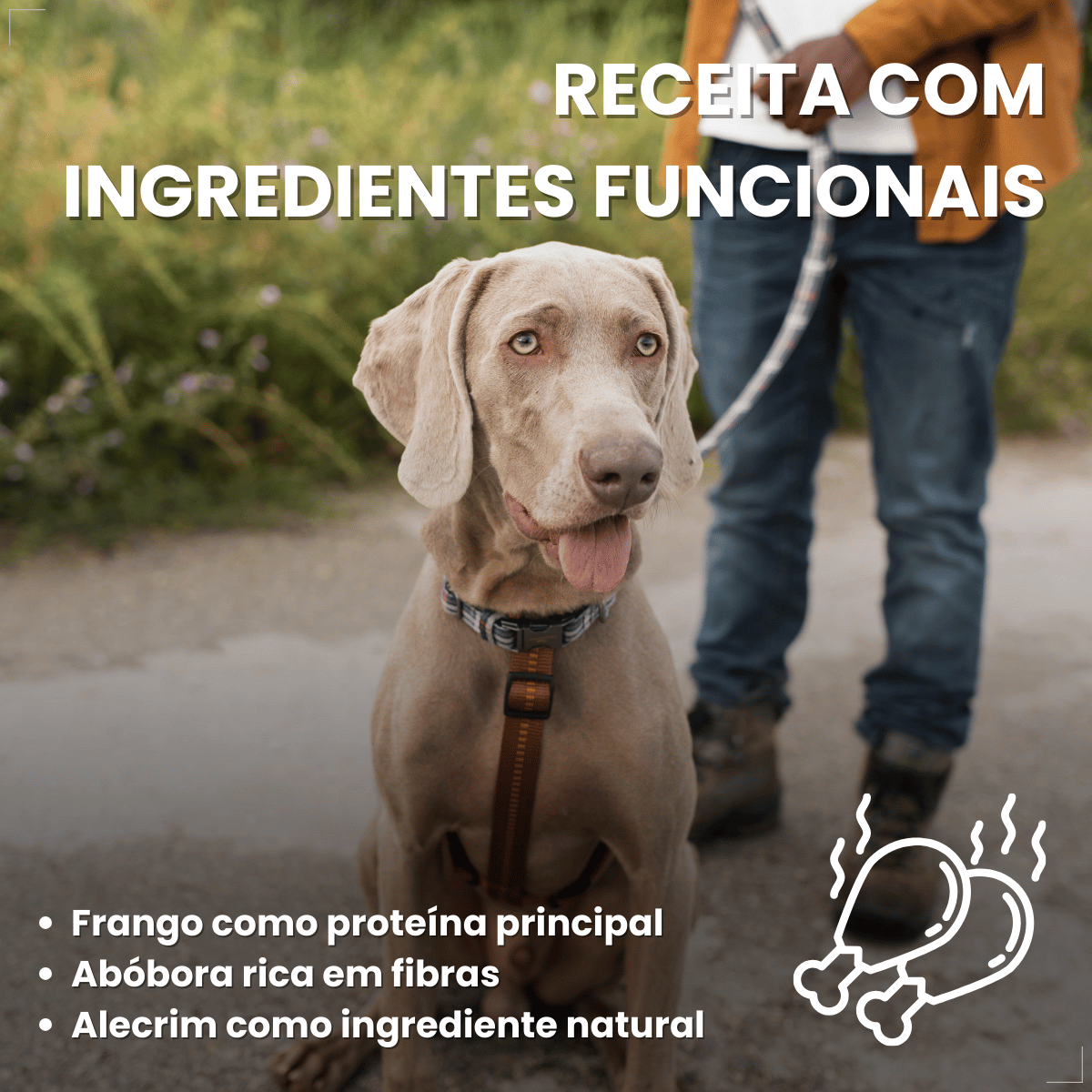 Ração Golden Seleção Natural Cães Adultos Frango com Abóbora e Alecrim 3kg