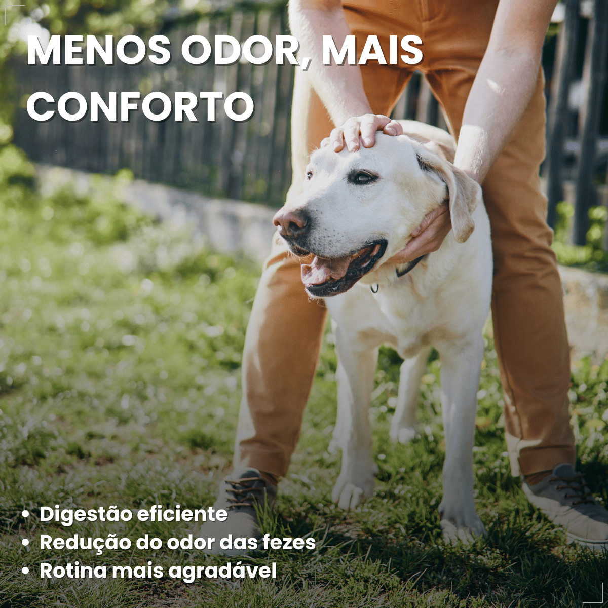 Ração Golden Seleção Natural Cães Adultos Frango com Abóbora e Alecrim 3kg