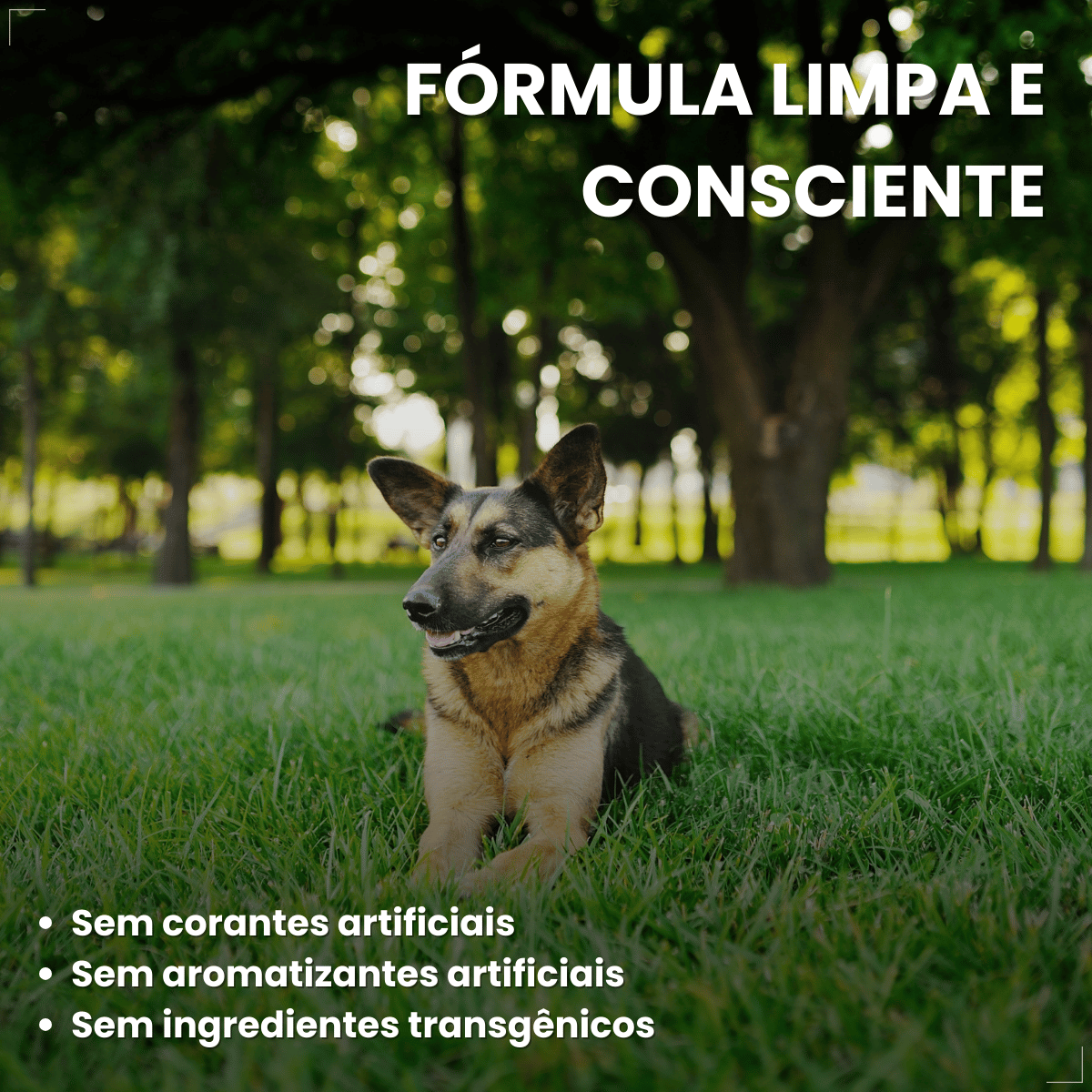 Ração Golden Seleção Natural Cães Adultos Frango com Abóbora e Alecrim 3kg