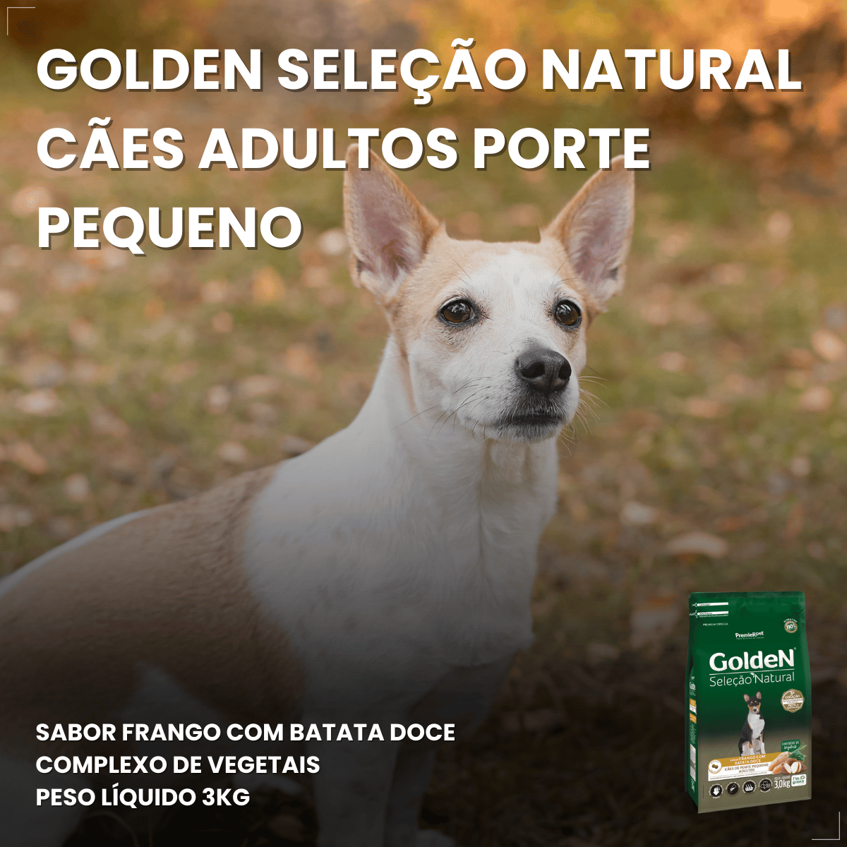 Ração Golden Seleção Natural Cães Adultos Porte Pequeno 3kg