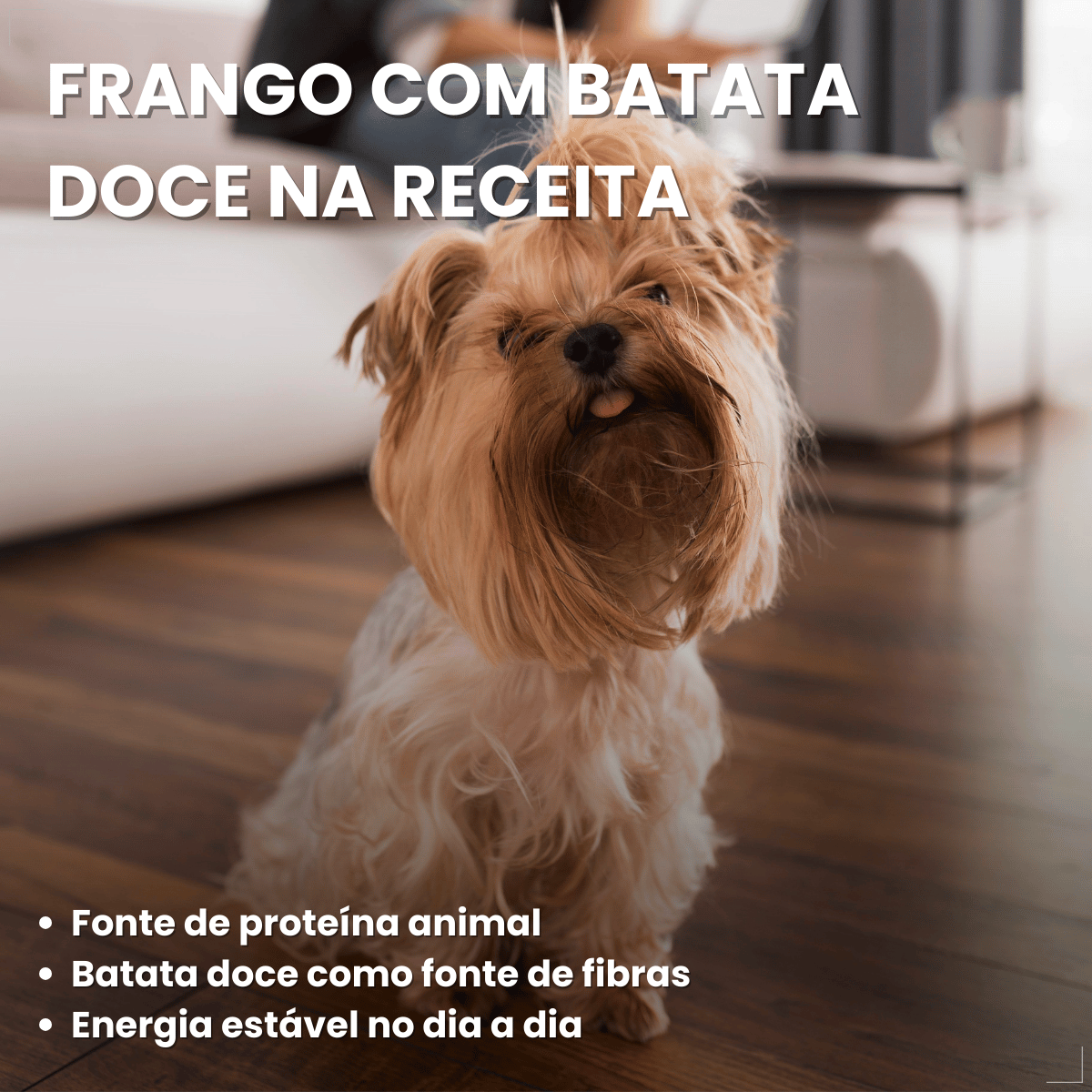Ração Golden Seleção Natural Cães Adultos Porte Pequeno 3kg