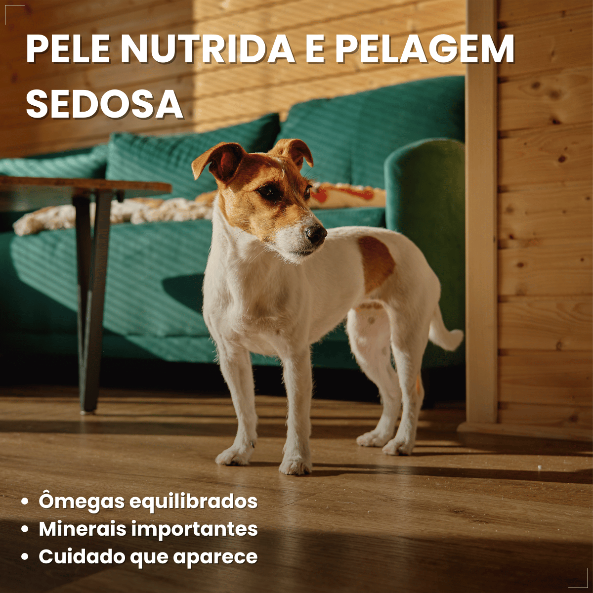 Ração Golden Seleção Natural Cães Adultos Porte Pequeno 3kg