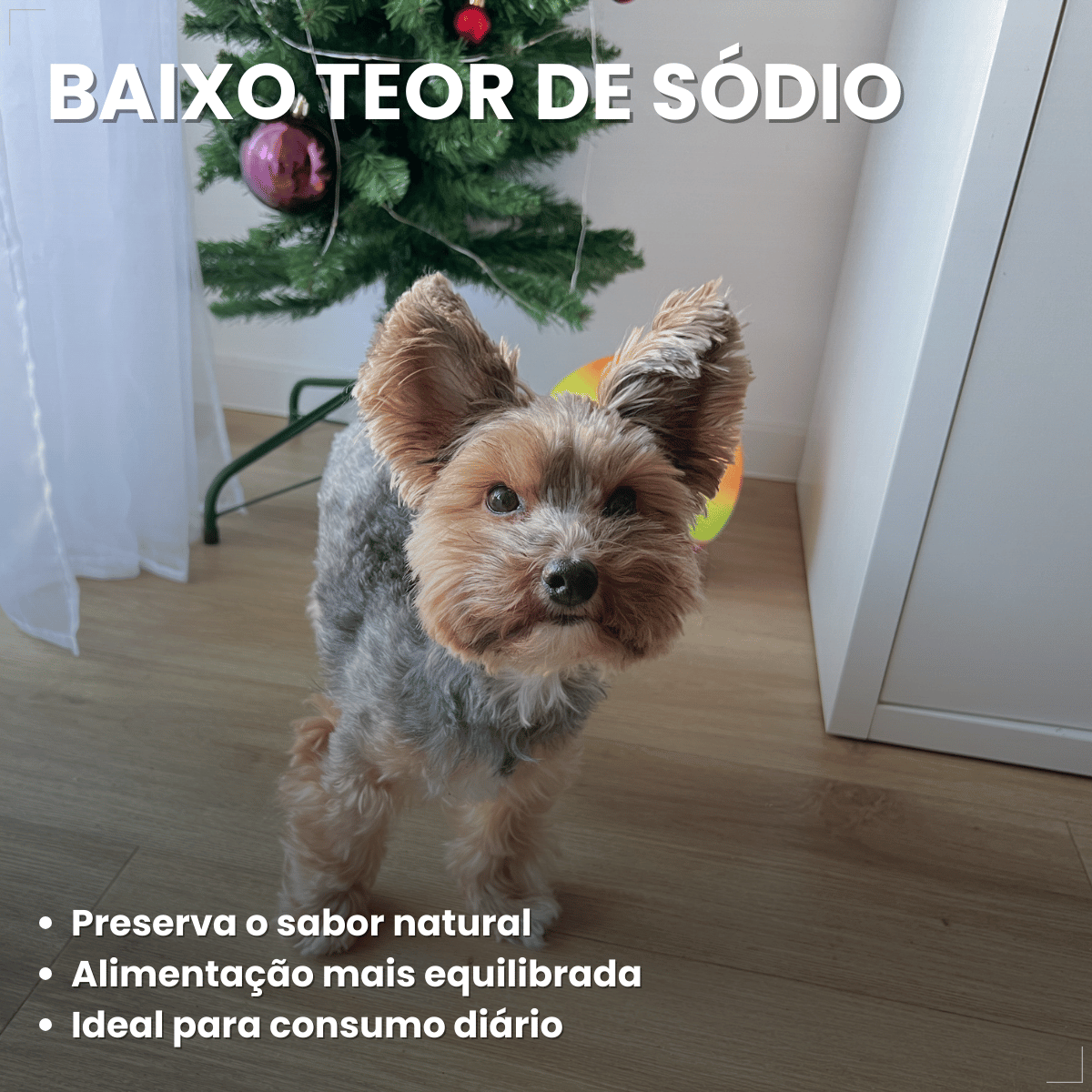 Ração Golden Seleção Natural Cães Adultos Porte Pequeno 3kg