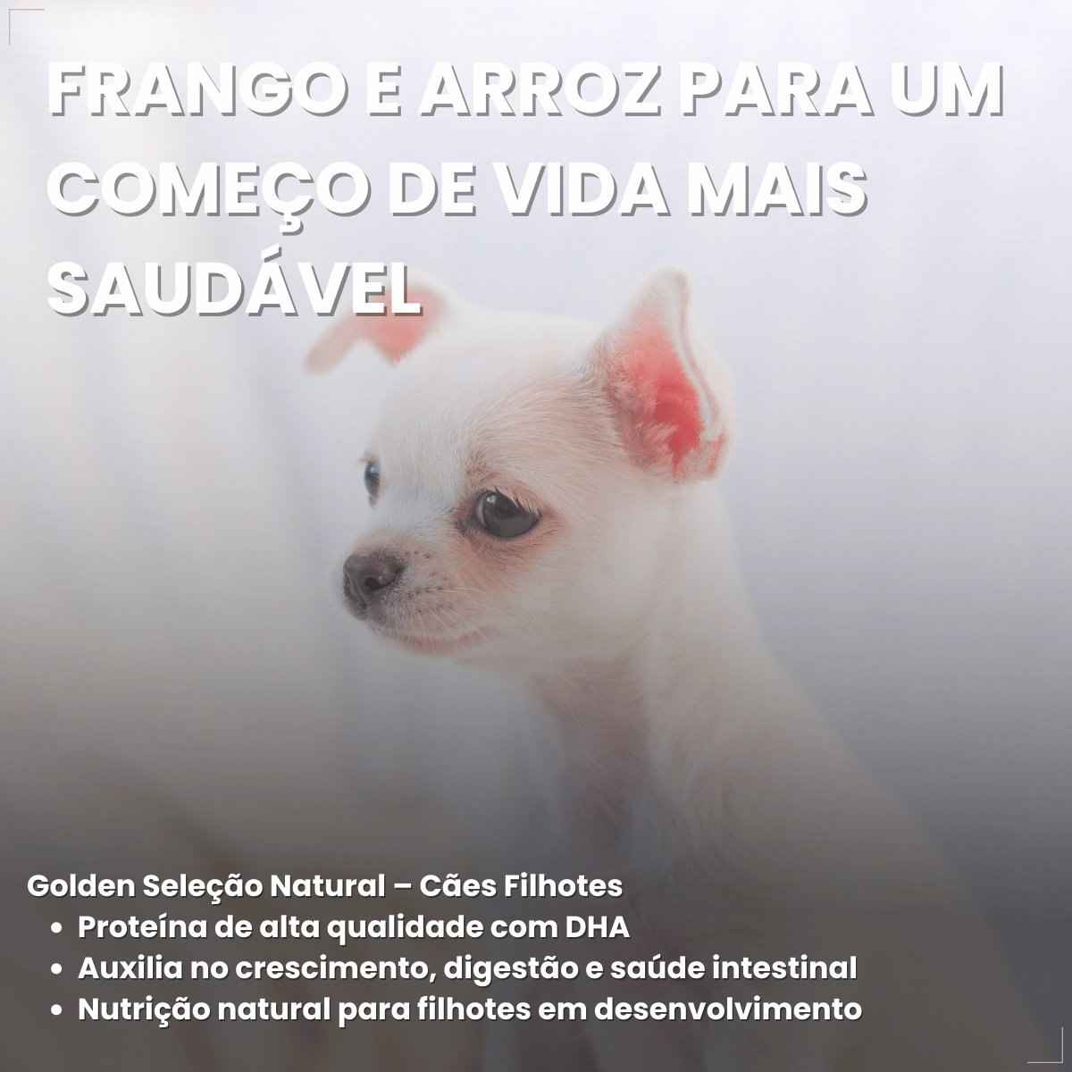 Ração Golden Seleção Natural Cães Filhotes Frango e Arroz 3kg