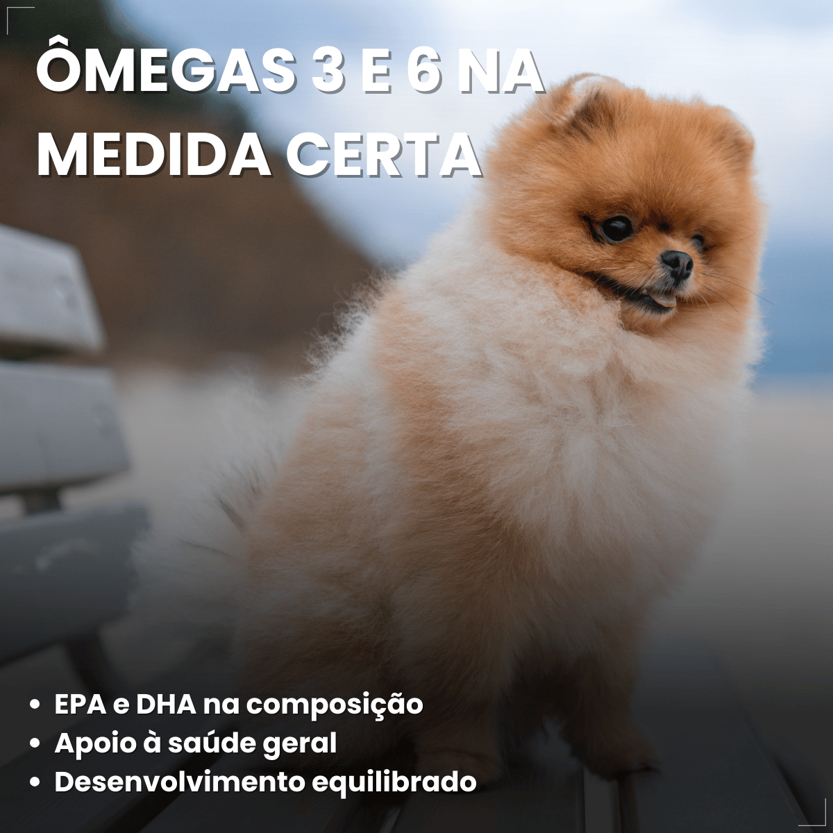 Ração Golden Seleção Natural Cães Filhotes Frango e Arroz 3kg