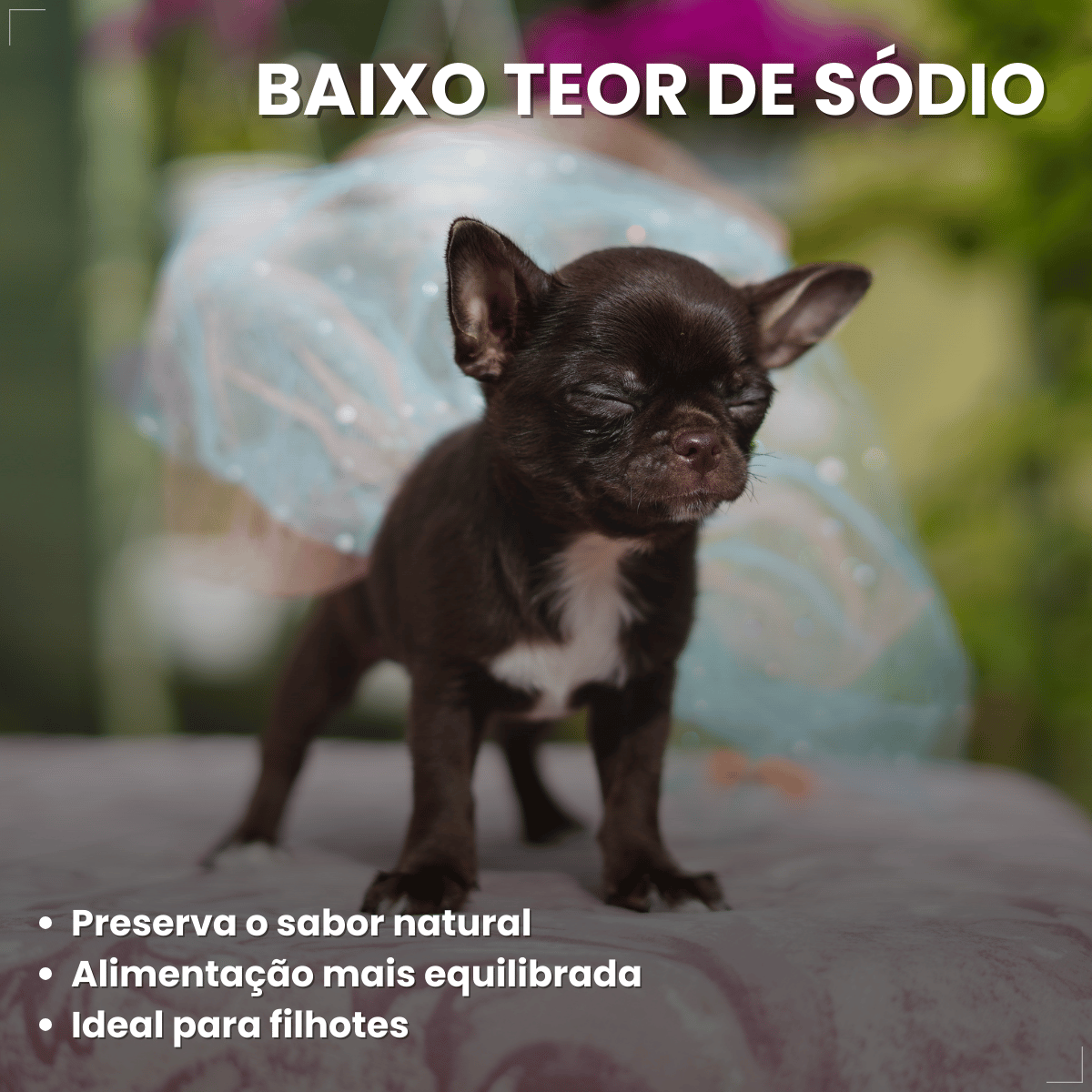 Ração Golden Seleção Natural Cães Filhotes Frango e Arroz 3kg