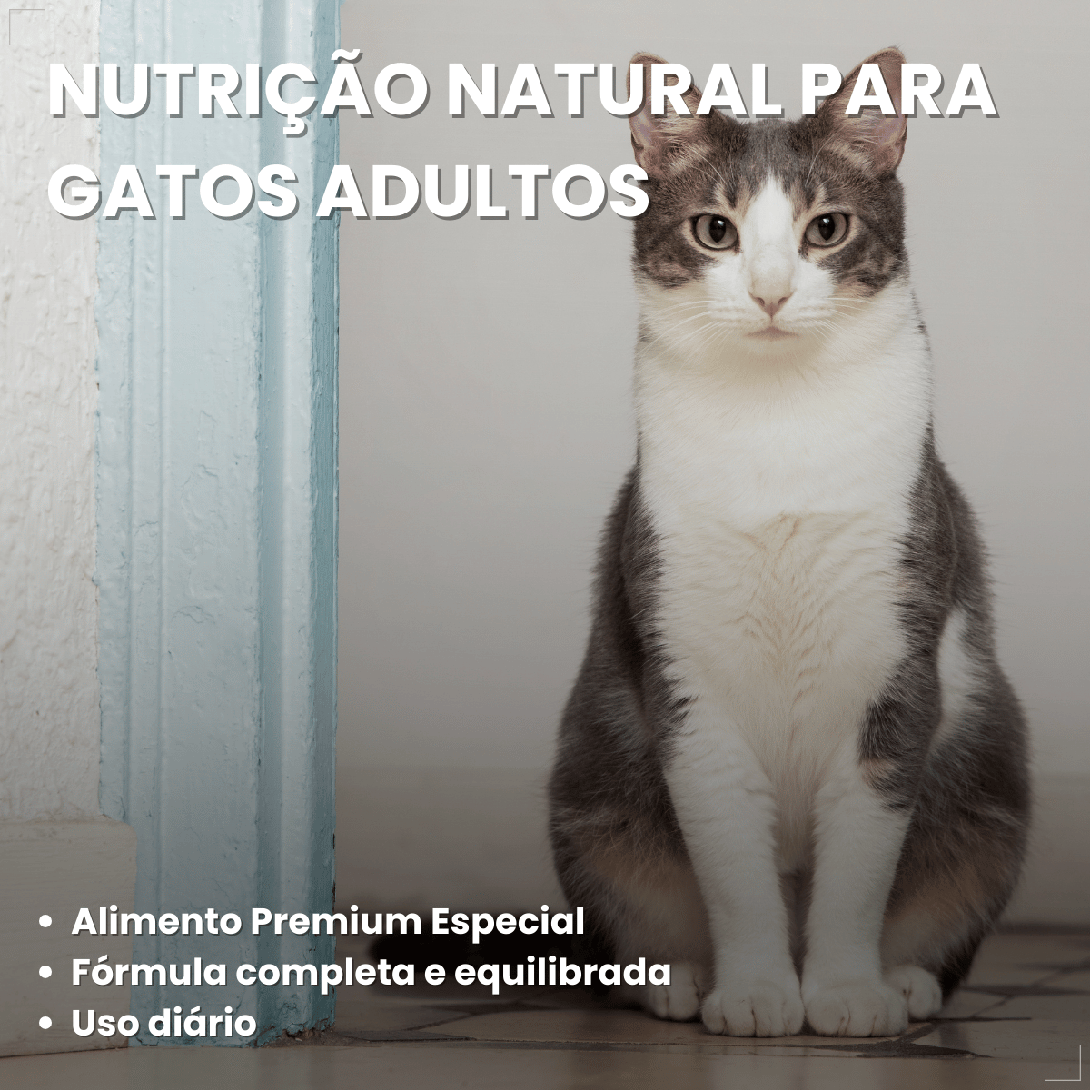 Ração Golden Seleção Natural Gatos Adulto Frango e Arroz 3kg
