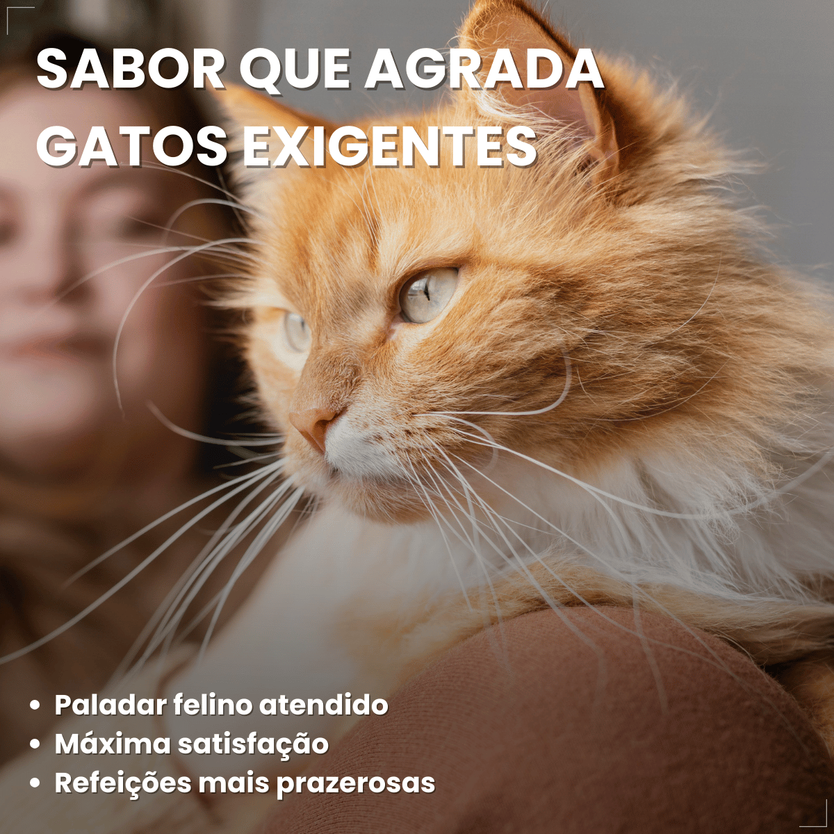Ração Golden Seleção Natural Gatos Adulto Frango e Arroz 3kg