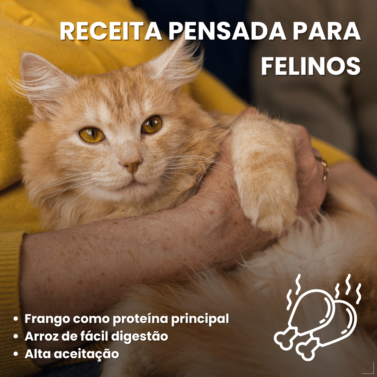 Ração Golden Seleção Natural Gatos Adulto Frango e Arroz 1kg