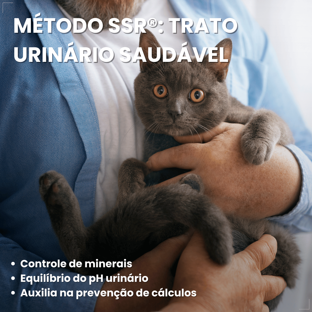 Ração Golden Seleção Natural Gatos Adulto Frango e Arroz 1kg