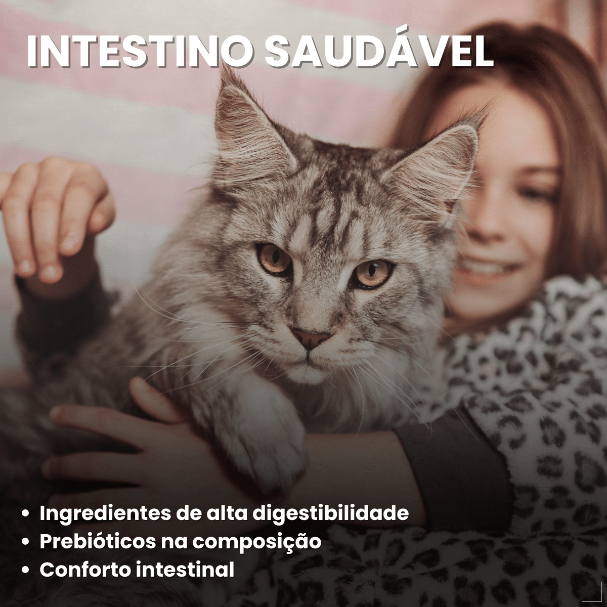 Ração Golden Seleção Natural Gatos Adulto Frango e Arroz 1kg