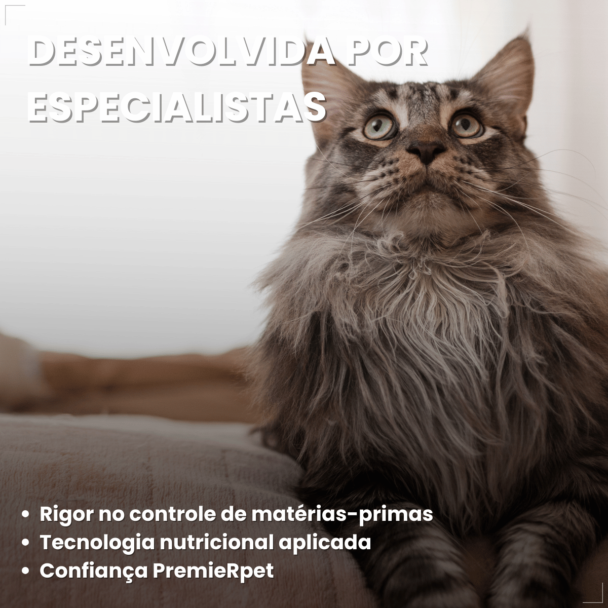 Ração Golden Seleção Natural Gatos Adulto Frango e Arroz 1kg