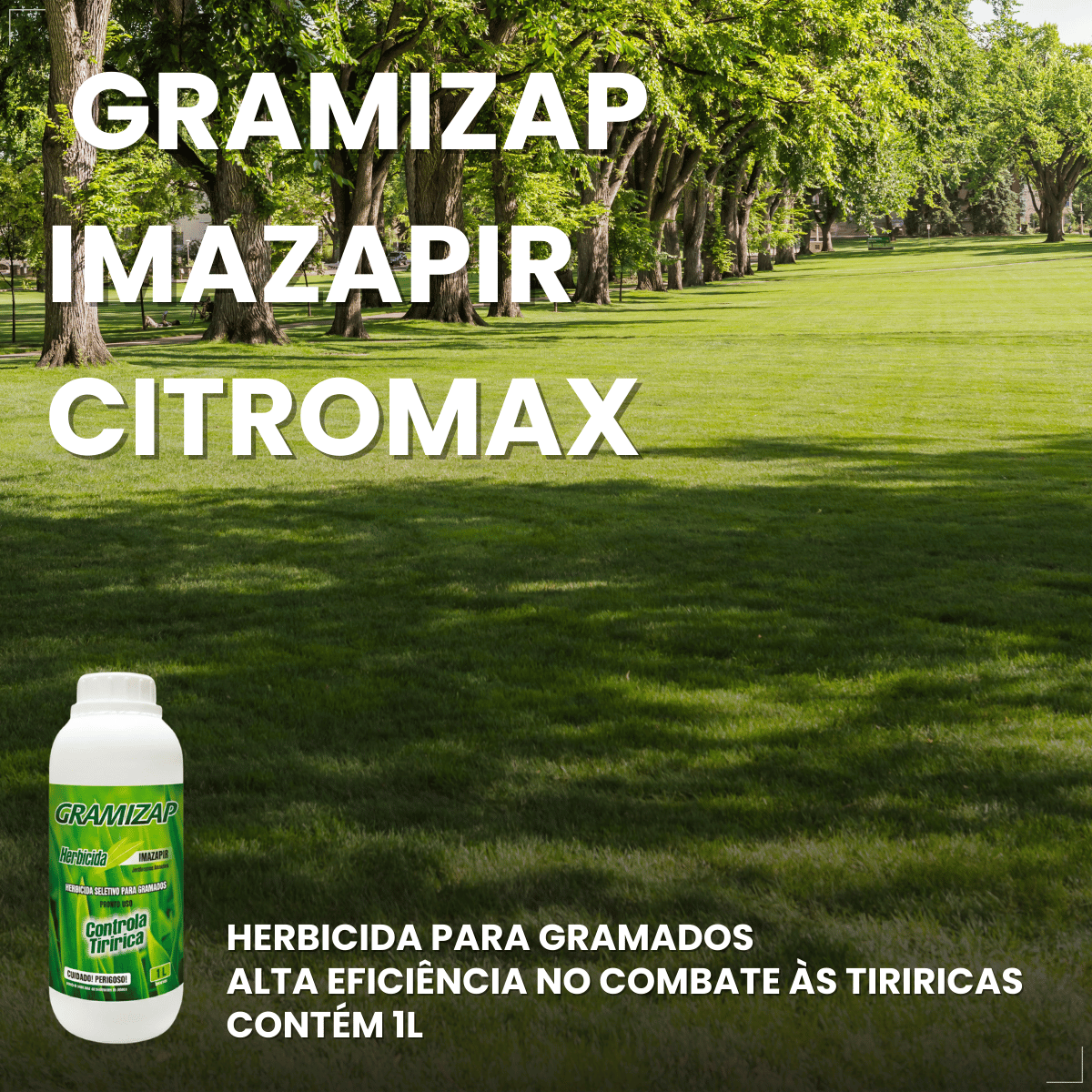 Gramizap Imazapir Herbicida Citromax 1 litro Grama Jardim