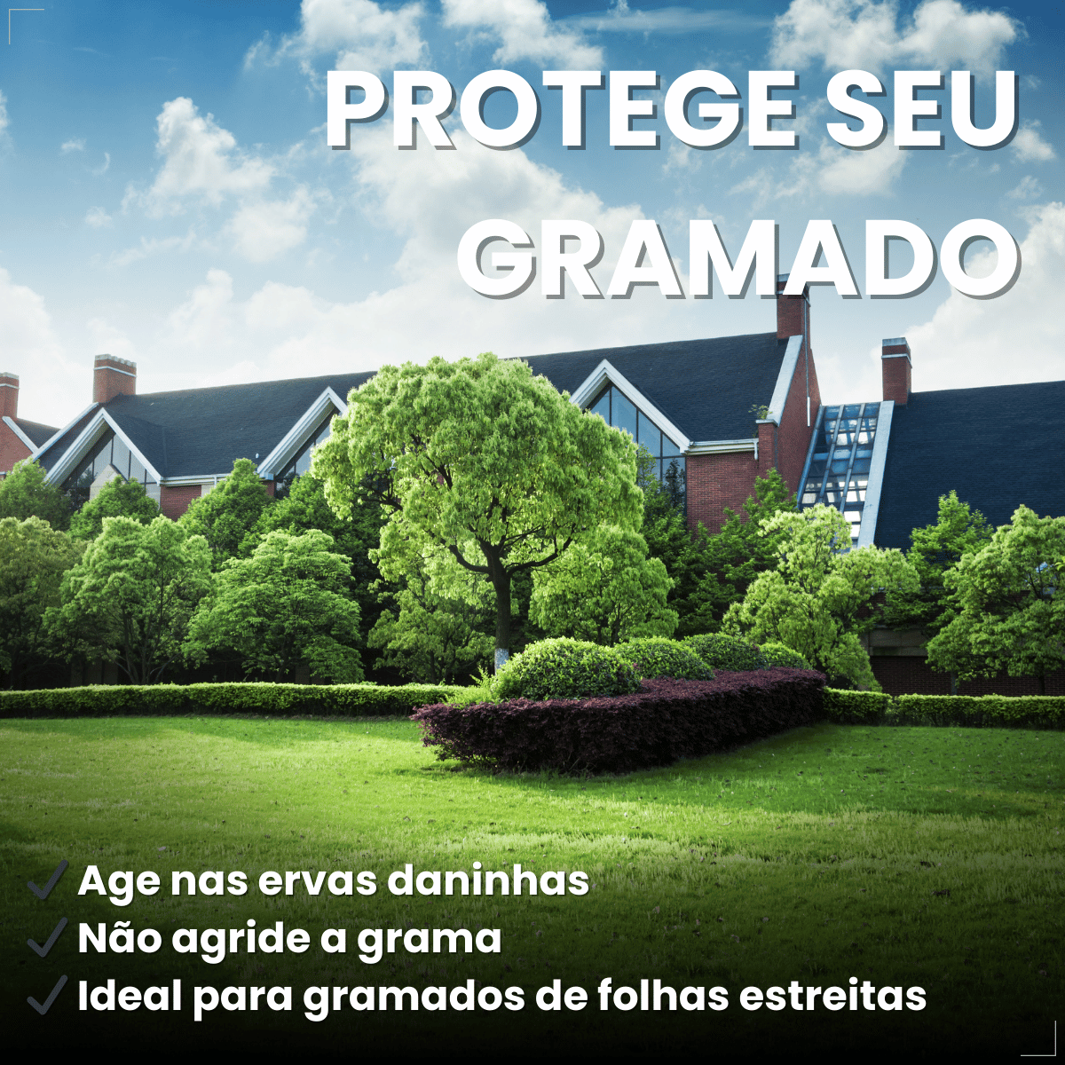 Gramizap Imazapir Herbicida Citromax 1 litro Grama Jardim