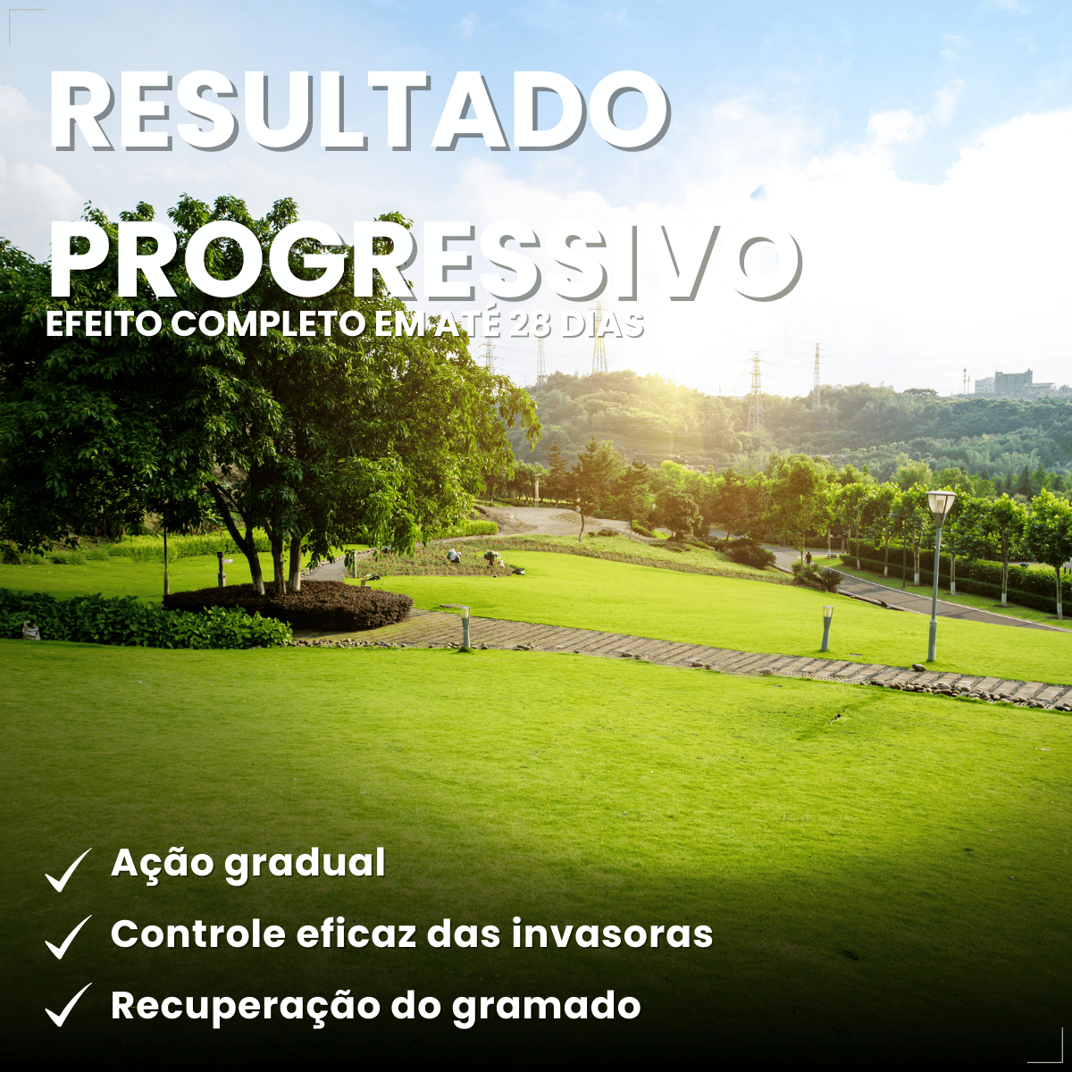Gramizap Imazapir Herbicida Citromax 1 litro Grama Jardim