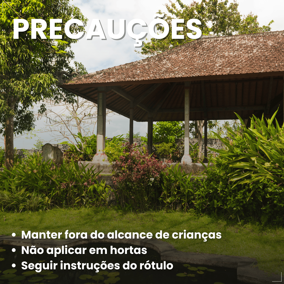 Gramizap Imazapir Herbicida Citromax 1 litro Grama Jardim