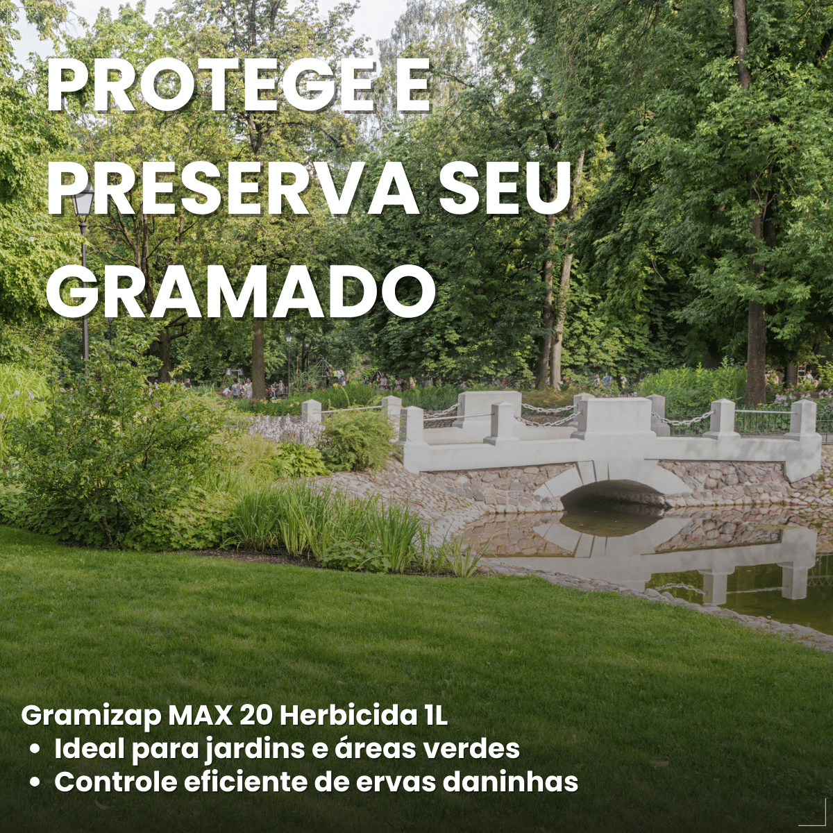 Gramizap Max 20 Imazapir Herbicida Citromax 1L Gramado