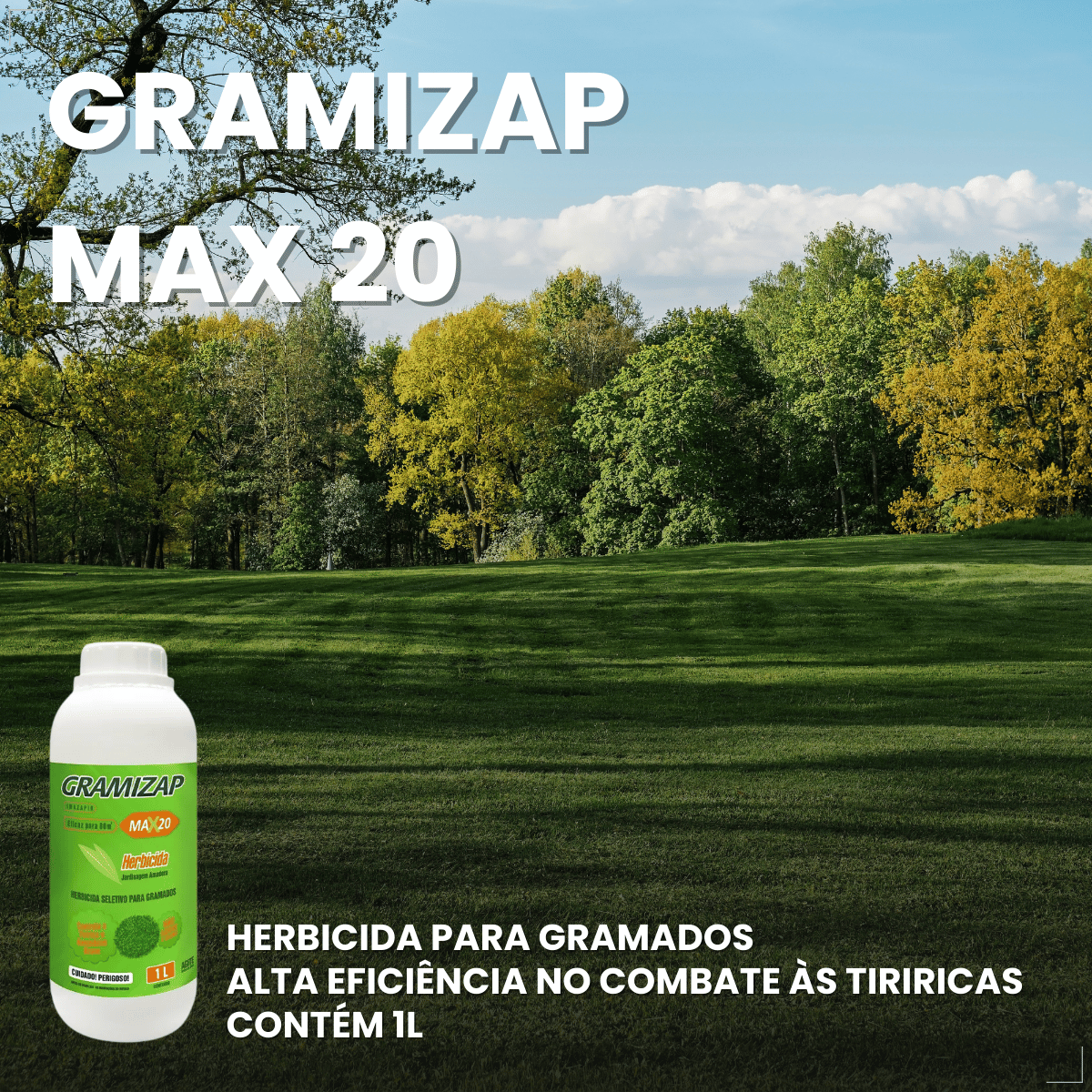 Gramizap Max 20 Imazapir Herbicida Citromax 1L Gramado