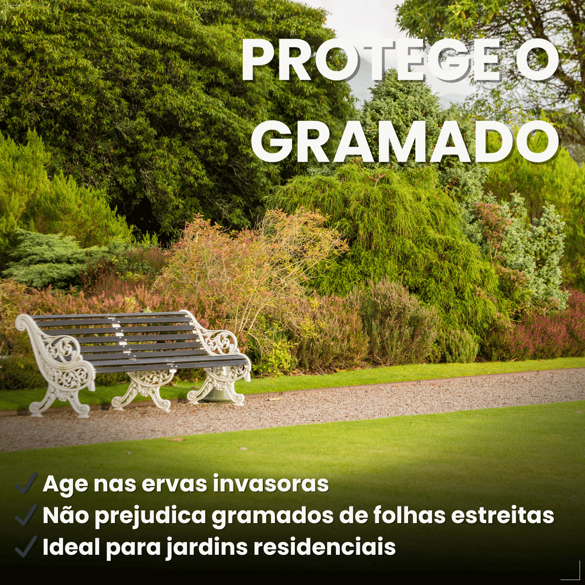 Gramizap Max 20 Imazapir Herbicida Citromax 1L Gramado