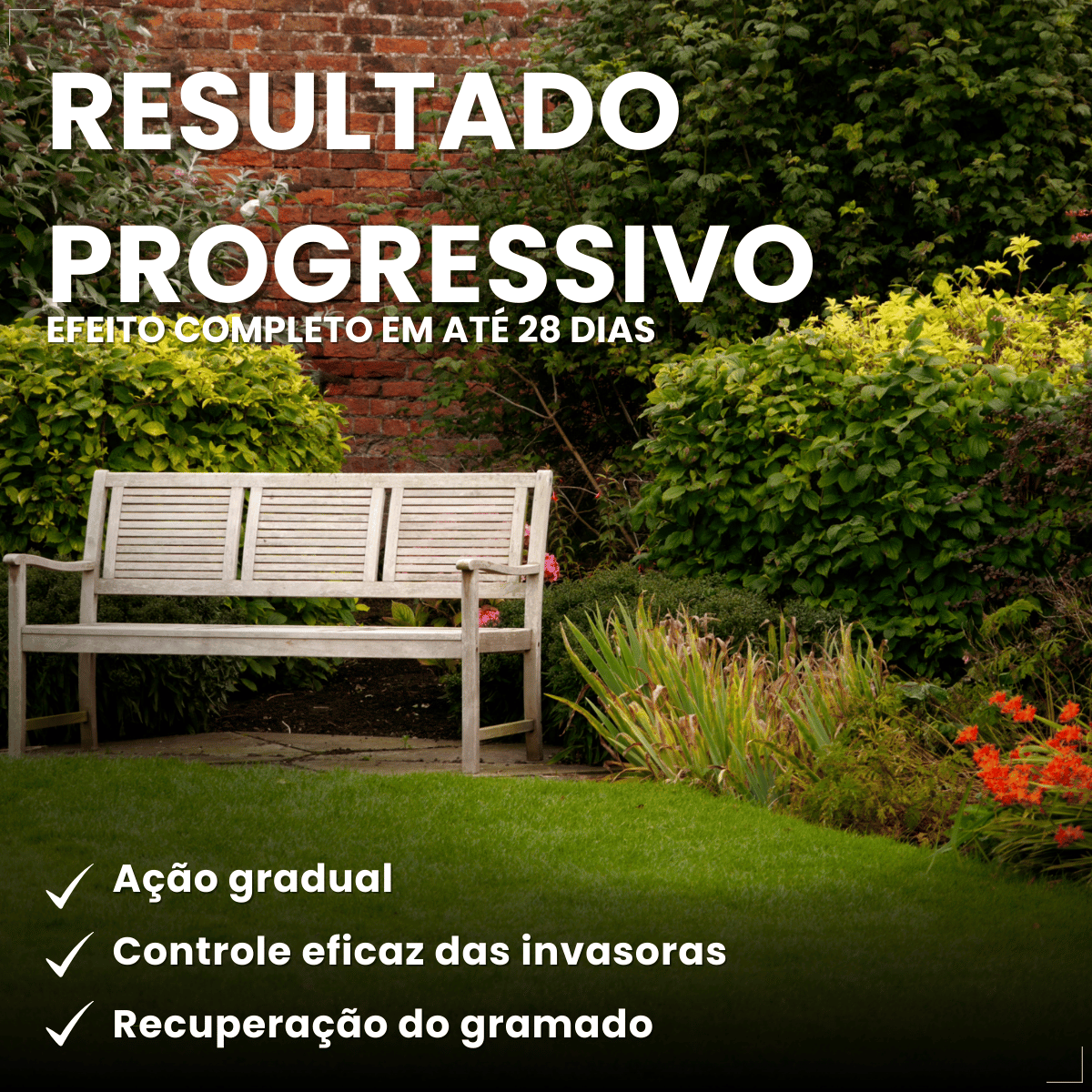 Gramizap Max 20 Imazapir Herbicida Citromax 1L Gramado