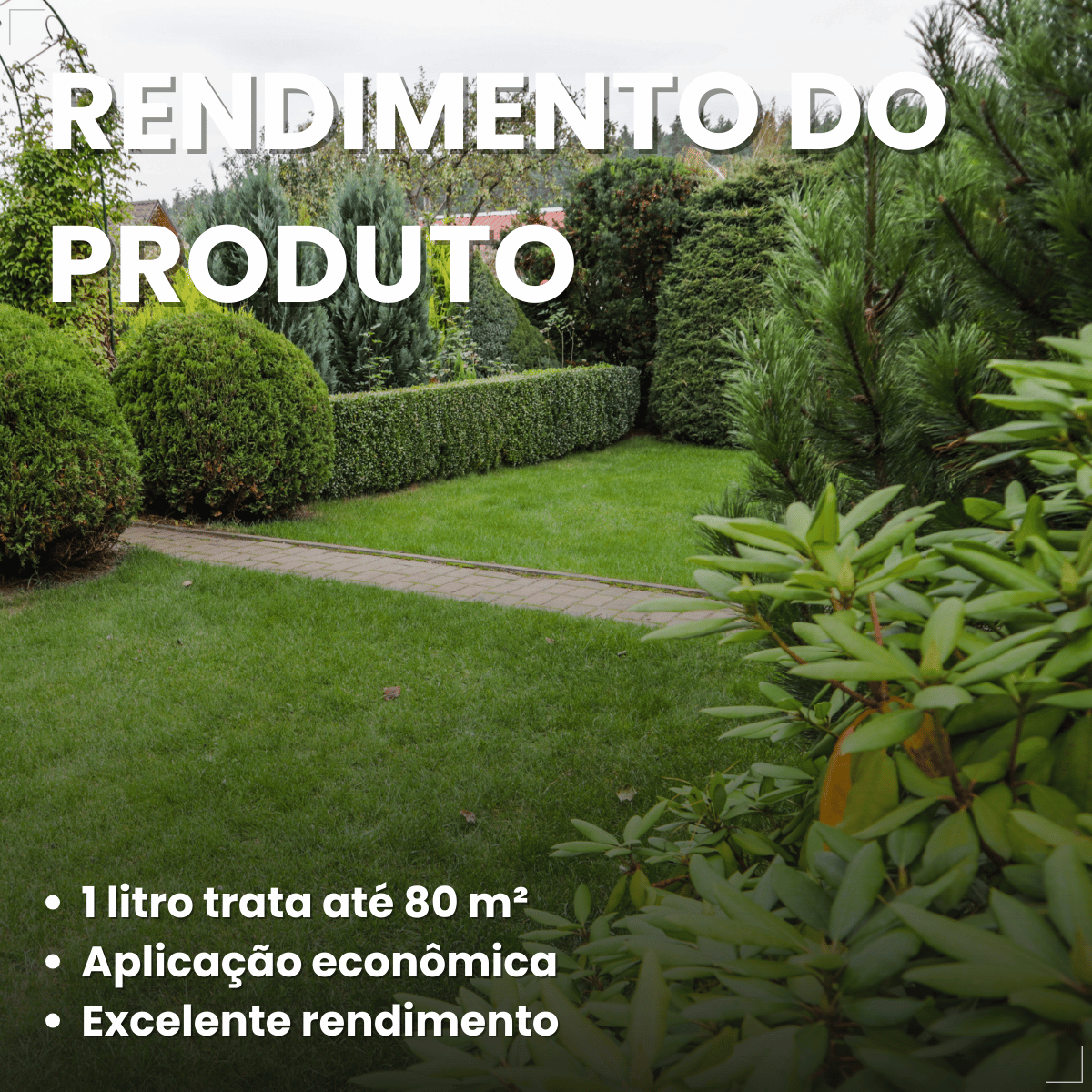 Gramizap Max 20 Imazapir Herbicida Citromax 1L Gramado