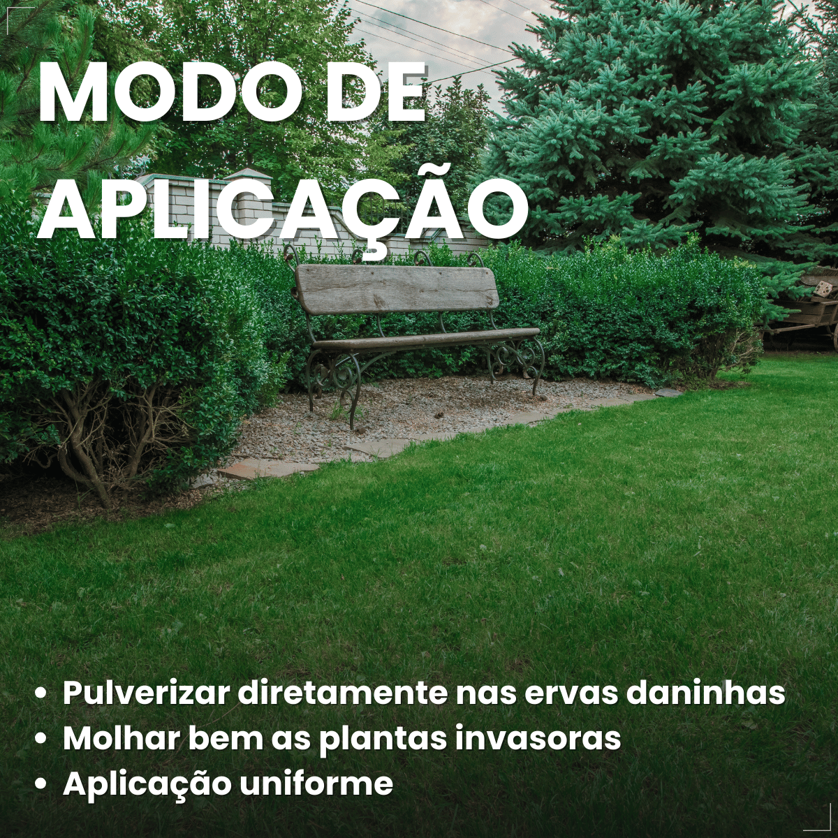 Gramizap Max 20 Imazapir Herbicida Citromax 1L Gramado