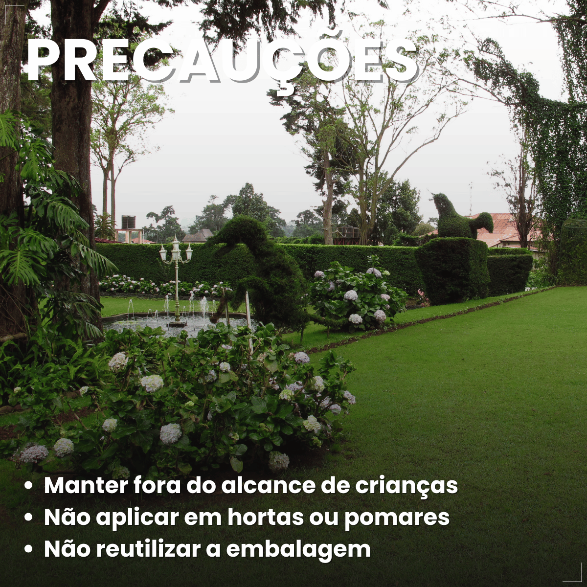 Gramizap Max 20 Imazapir Herbicida Citromax 1L Gramado