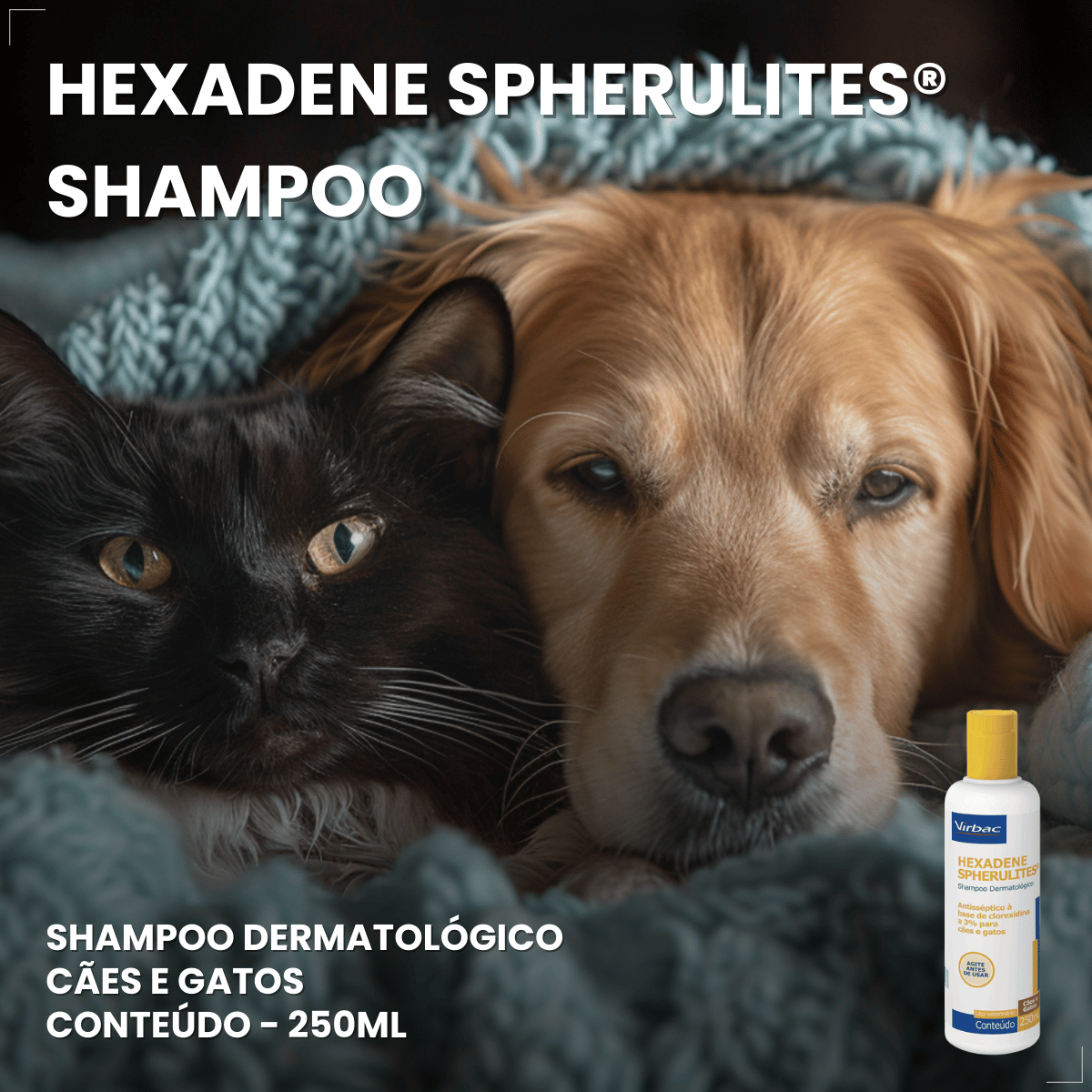 Shampoo Hexadene Spherulites Antisséptico Cães E Gatos 250ml
