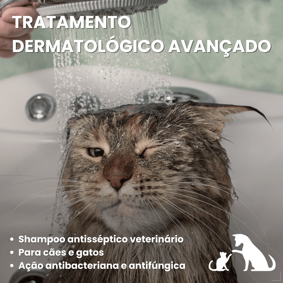 Shampoo Hexadene Spherulites Antisséptico Cães E Gatos 250ml