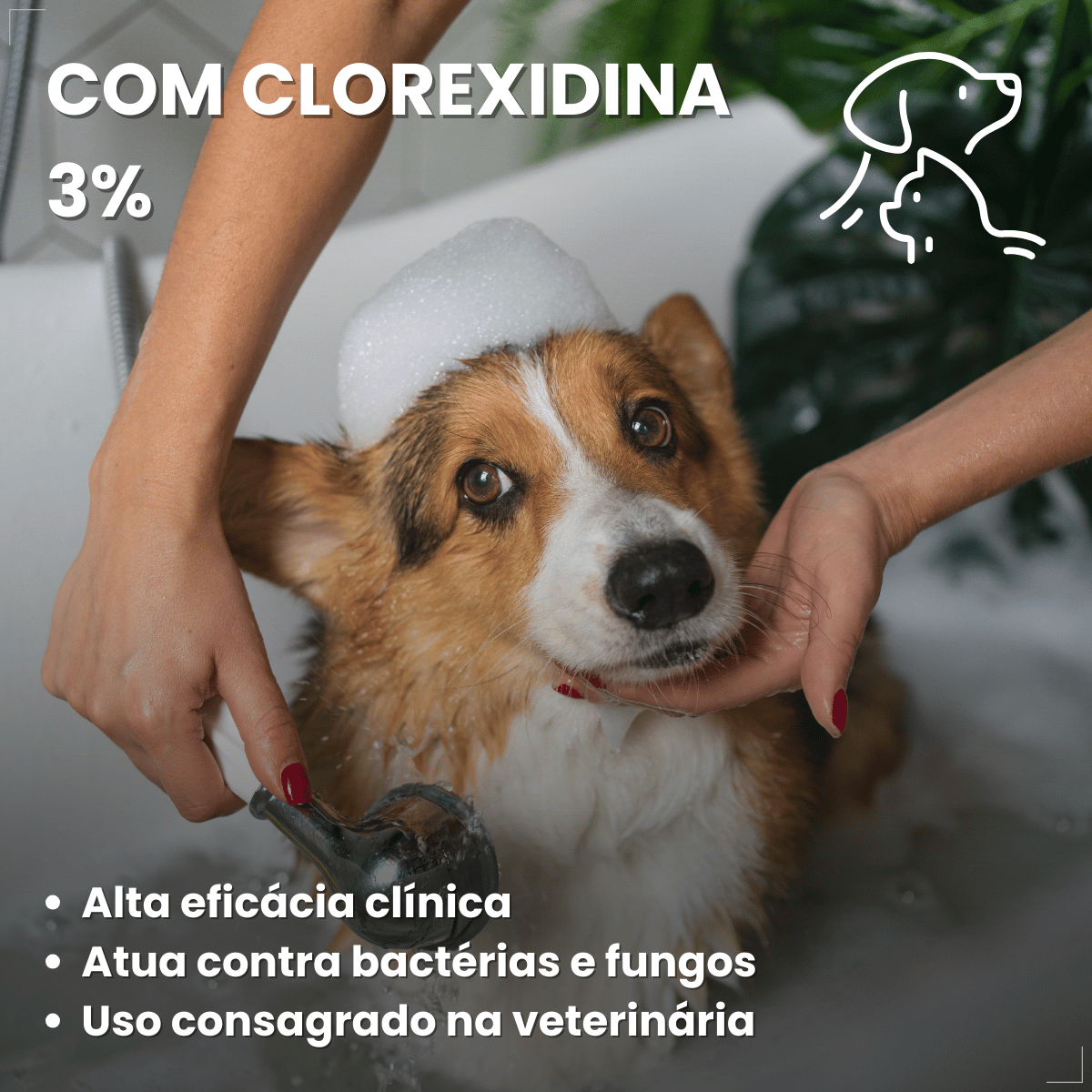 Shampoo Hexadene Spherulites Antisséptico Cães E Gatos 250ml