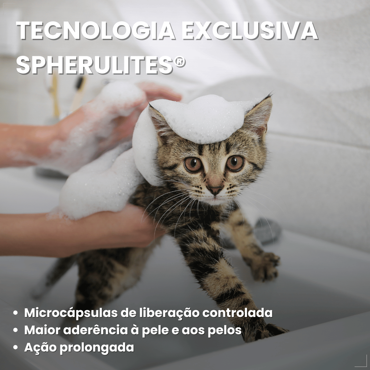 Shampoo Hexadene Spherulites Antisséptico Cães E Gatos 250ml