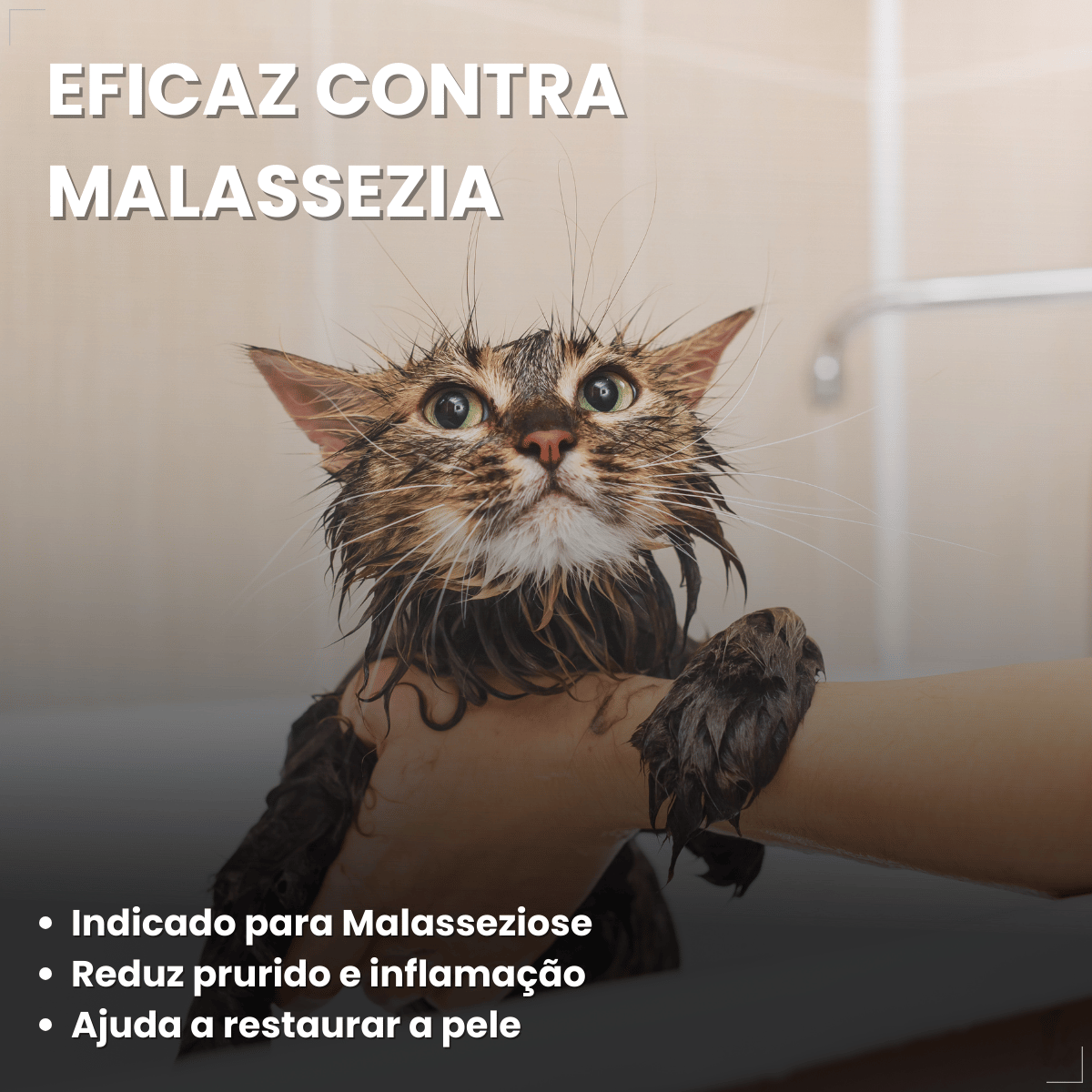 Shampoo Hexadene Spherulites Antisséptico Cães E Gatos 250ml