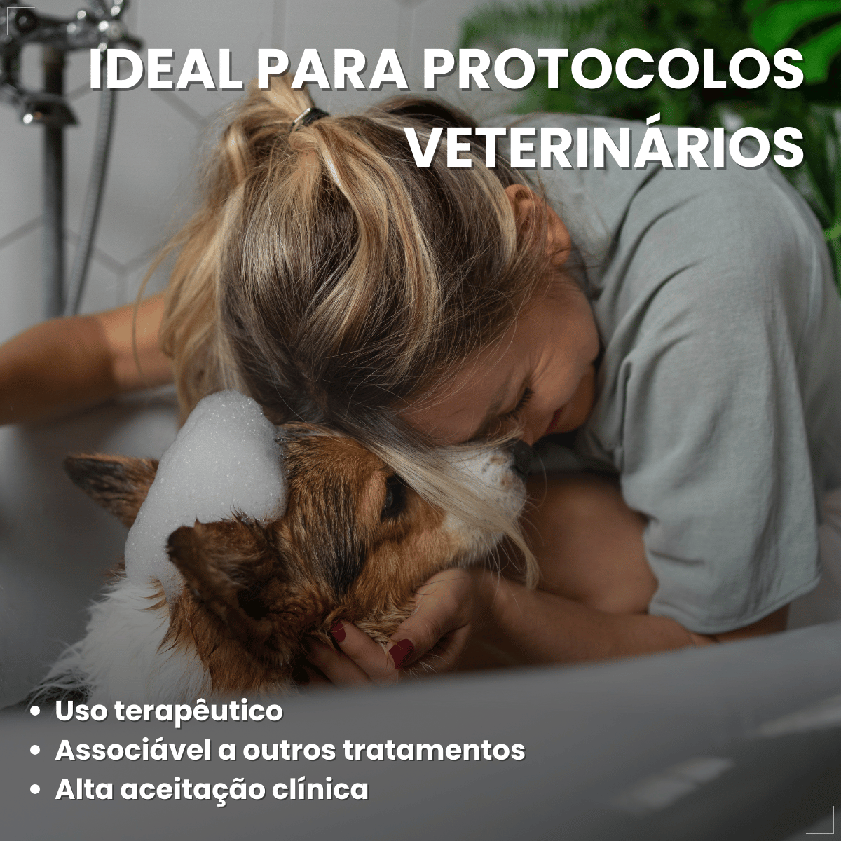 Shampoo Hexadene Spherulites Antisséptico Cães E Gatos 250ml