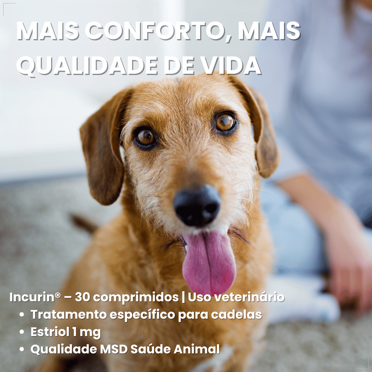 Incurin Tratamento De Incontinência Urinária Em Cadelas 1 Mg