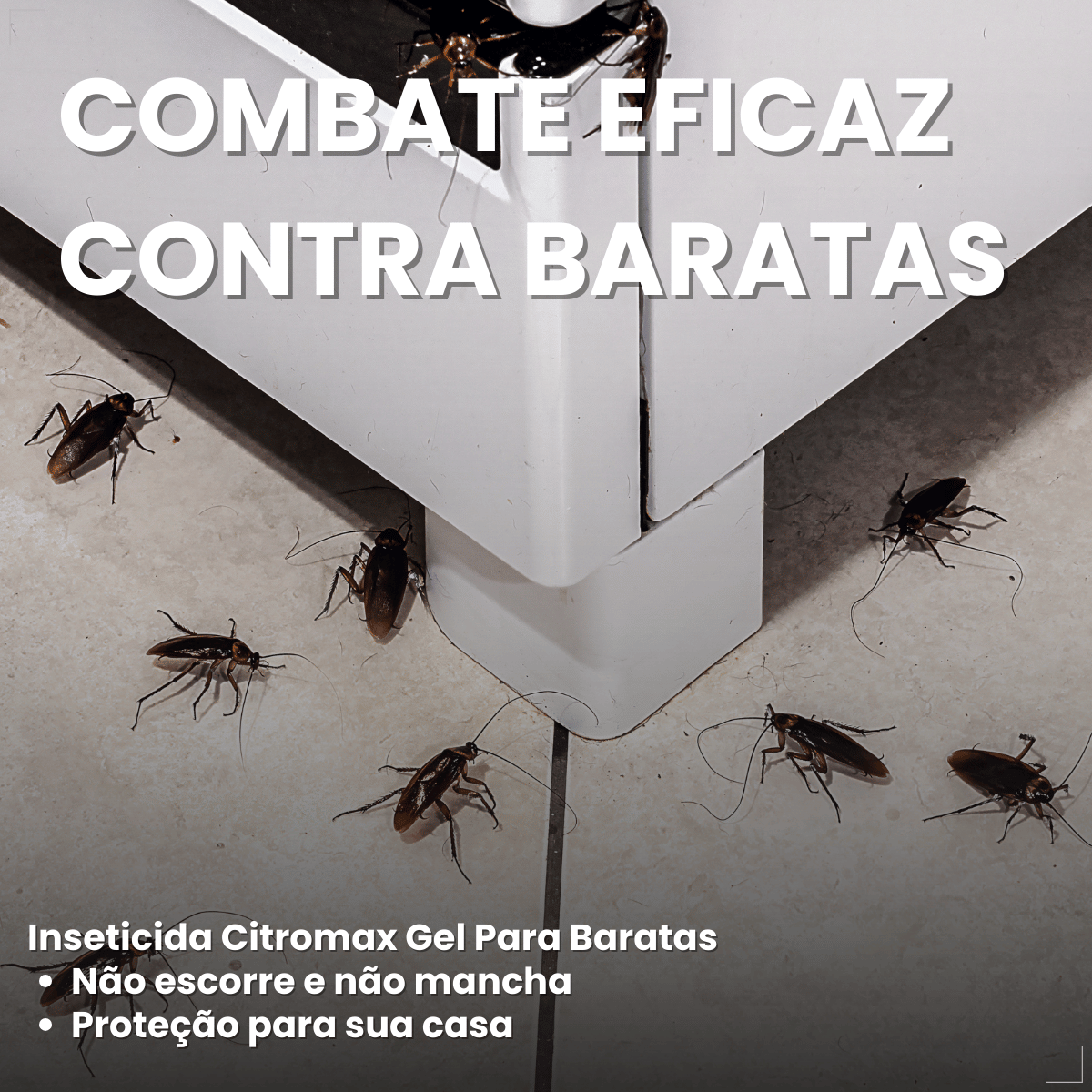 Mata Barata Gel Inseticida Para Baratas Seringa 10g Citromax