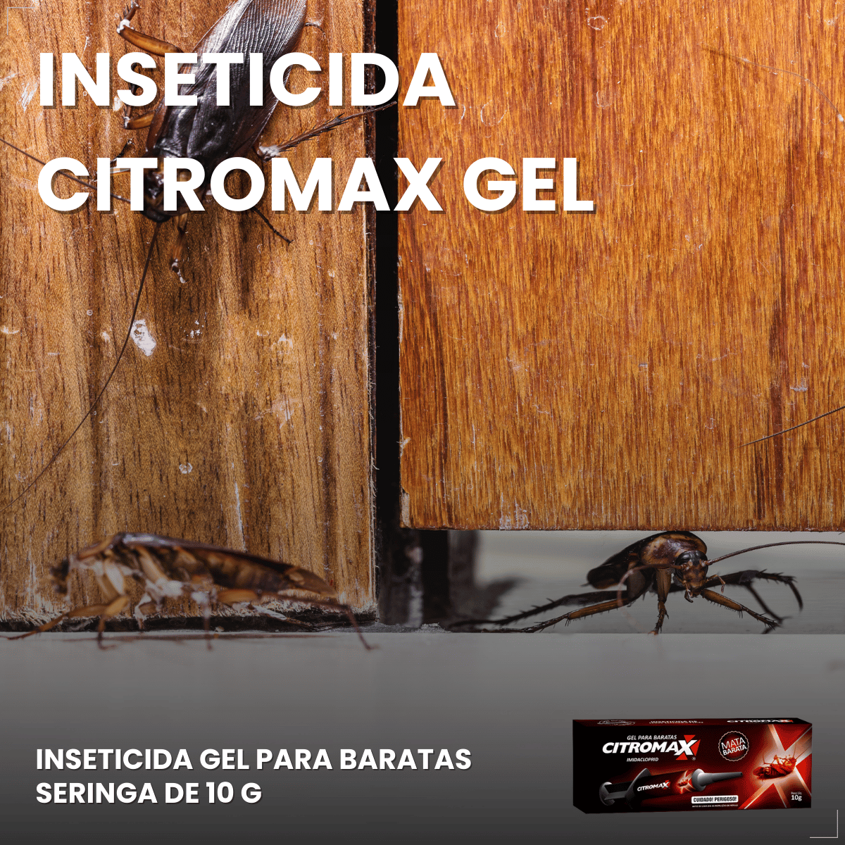 Mata Barata Gel Inseticida Para Baratas Seringa 10g Citromax