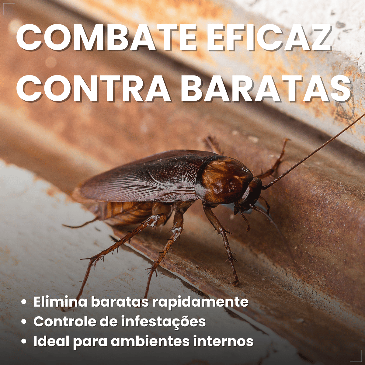 Mata Barata Gel Inseticida Para Baratas Seringa 10g Citromax