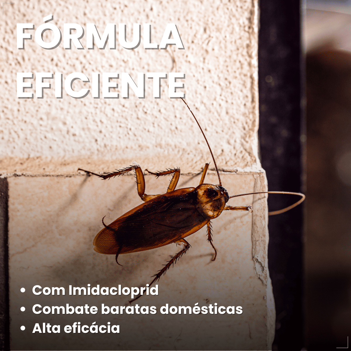 Mata Barata Gel Inseticida Para Baratas Seringa 10g Citromax