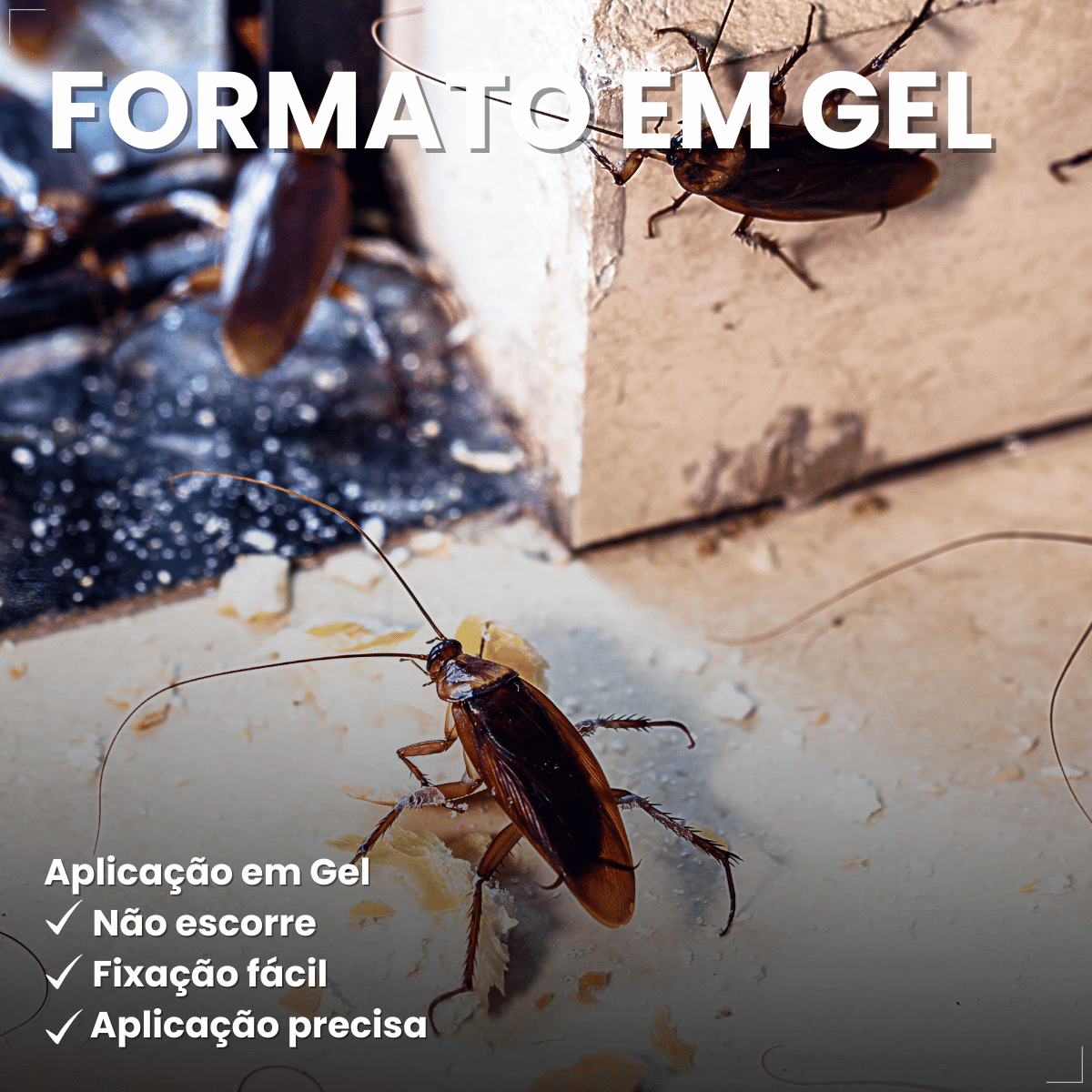 Mata Barata Gel Inseticida Para Baratas Seringa 10g Citromax