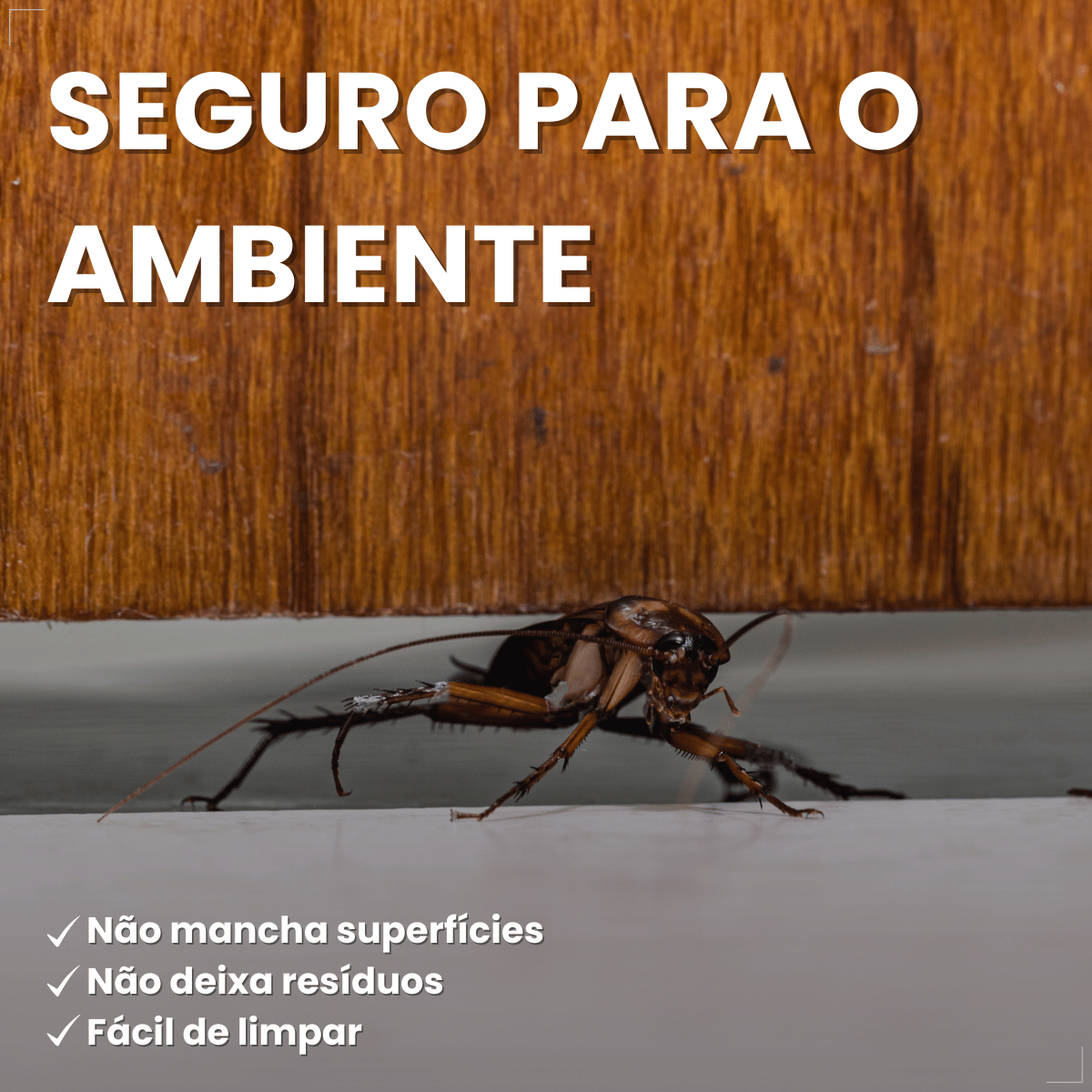 Mata Barata Gel Inseticida Para Baratas Seringa 10g Citromax