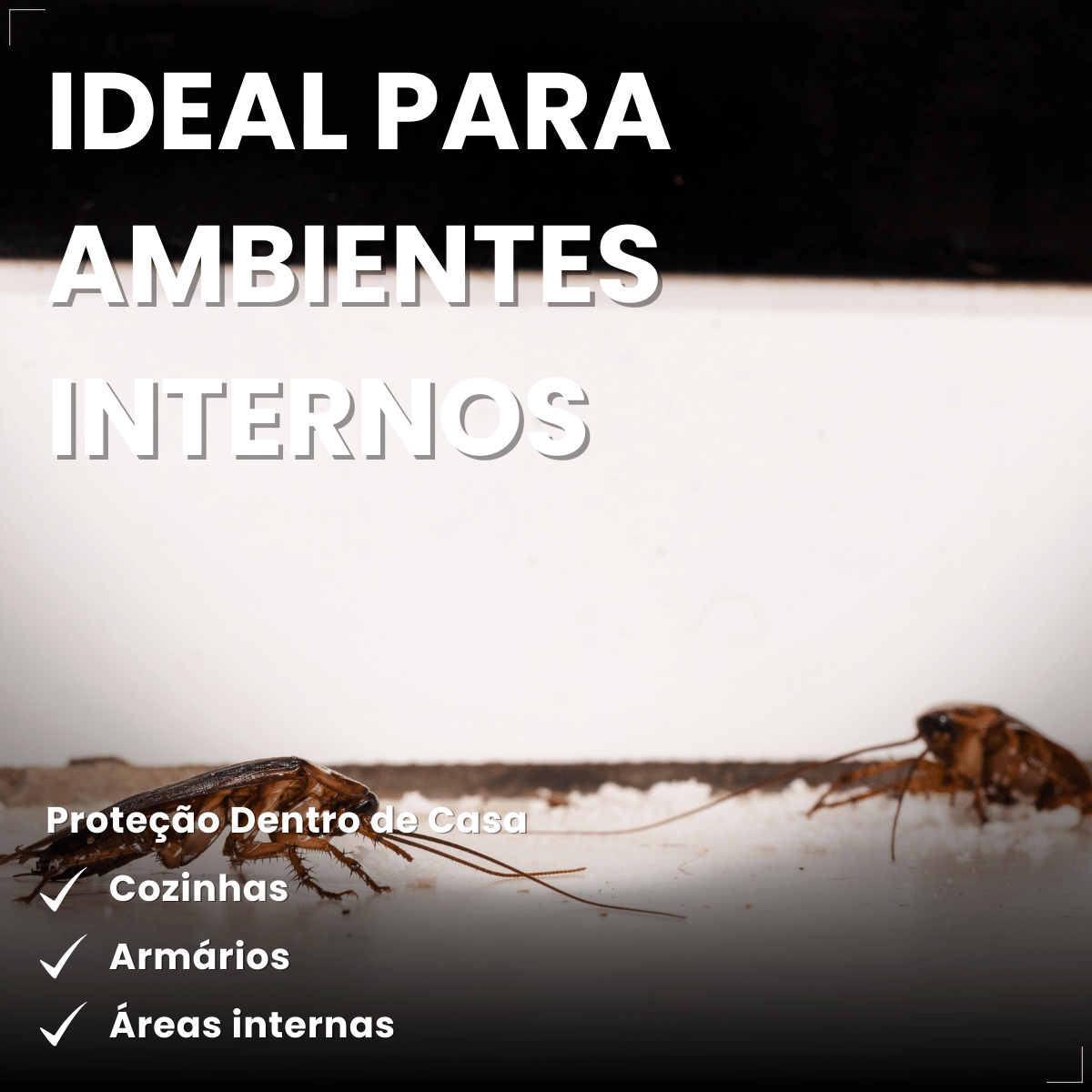Mata Barata Gel Inseticida Para Baratas Seringa 10g Citromax
