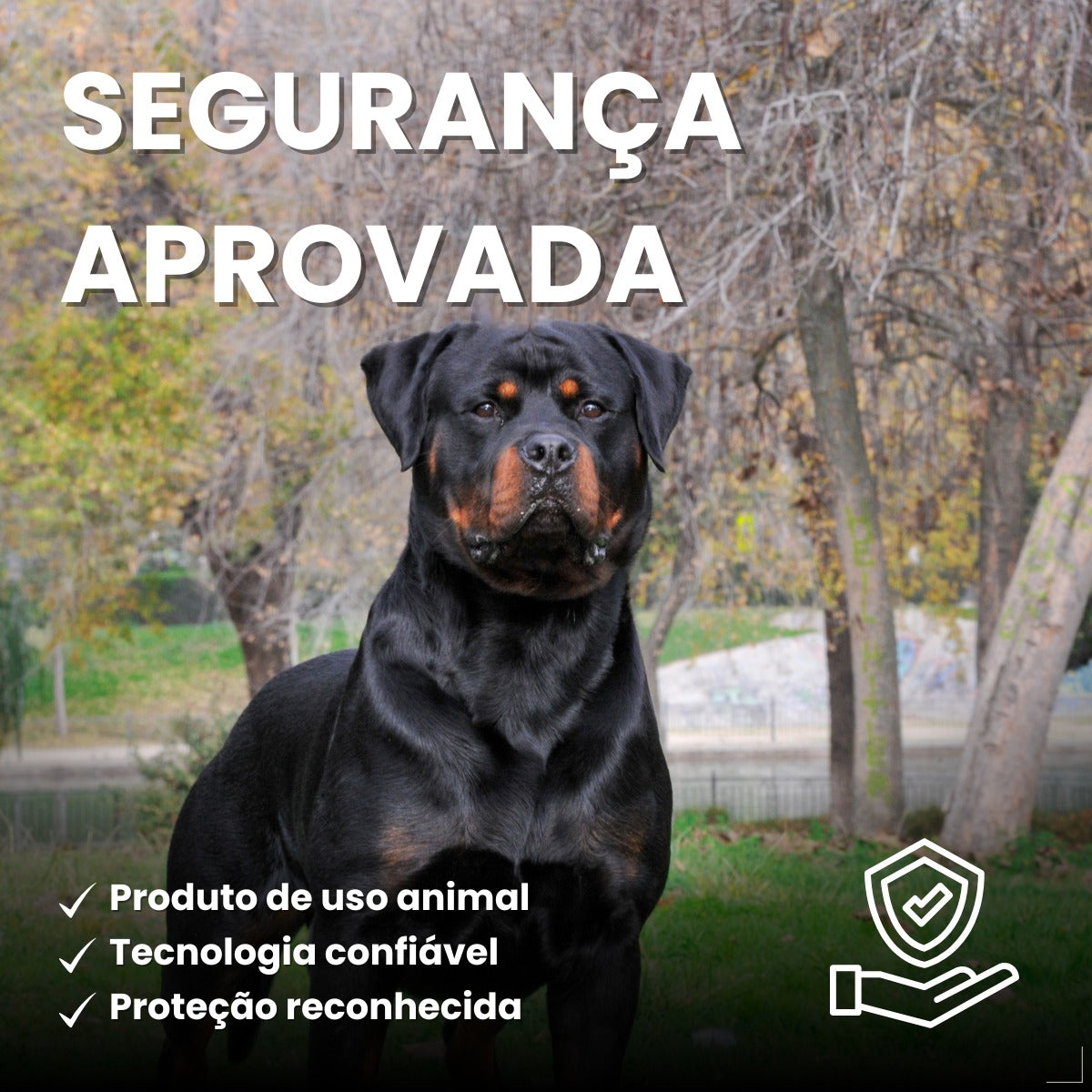 Bravecto Carrapatos Antipulgas Cães De 40 A 56 Kg Msd 1400mg
