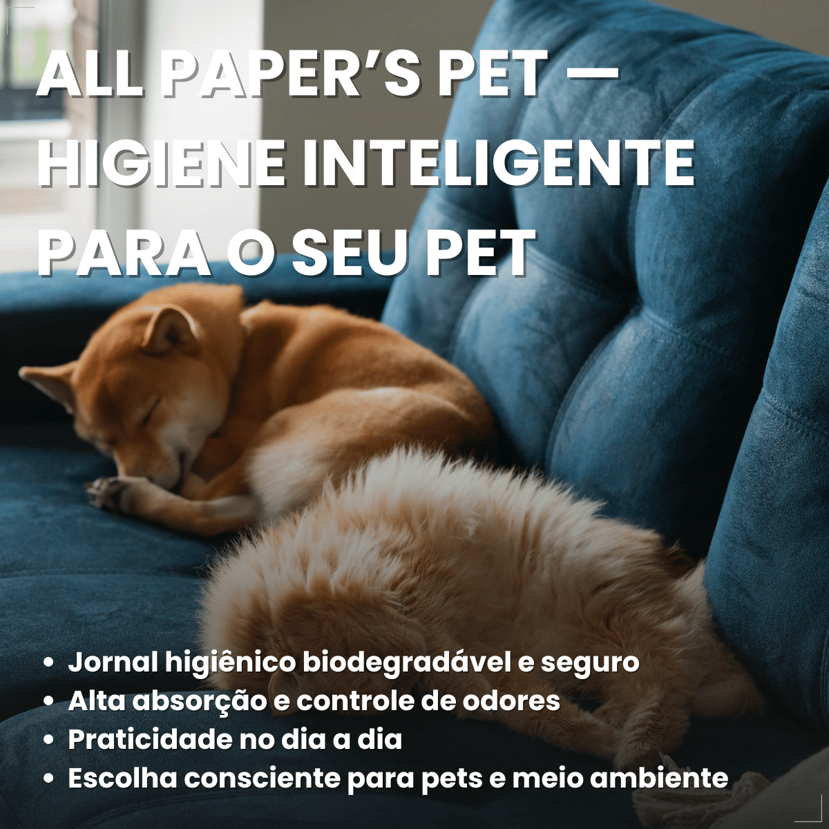 Jornal Pet Higiênico Biodegradável com 50 Folhas All Papers