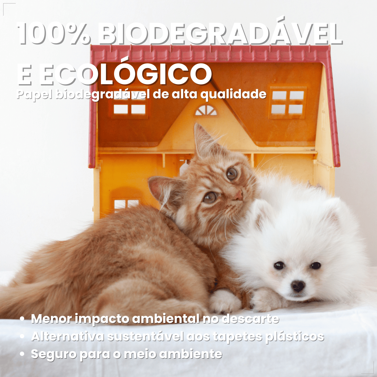 Jornal Pet Higiênico Biodegradável com 50 Folhas All Papers
