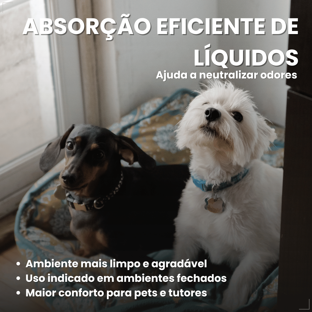 Jornal Pet Higiênico Biodegradável com 50 Folhas All Papers